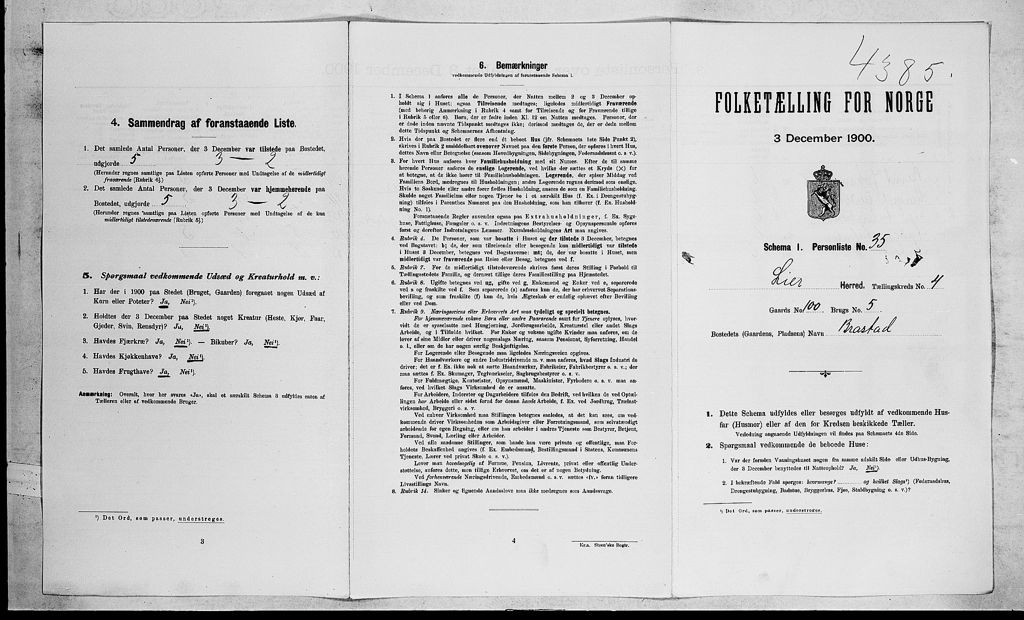 RA, Folketelling 1900 for 0626 Lier herred, 1900, s. 733
