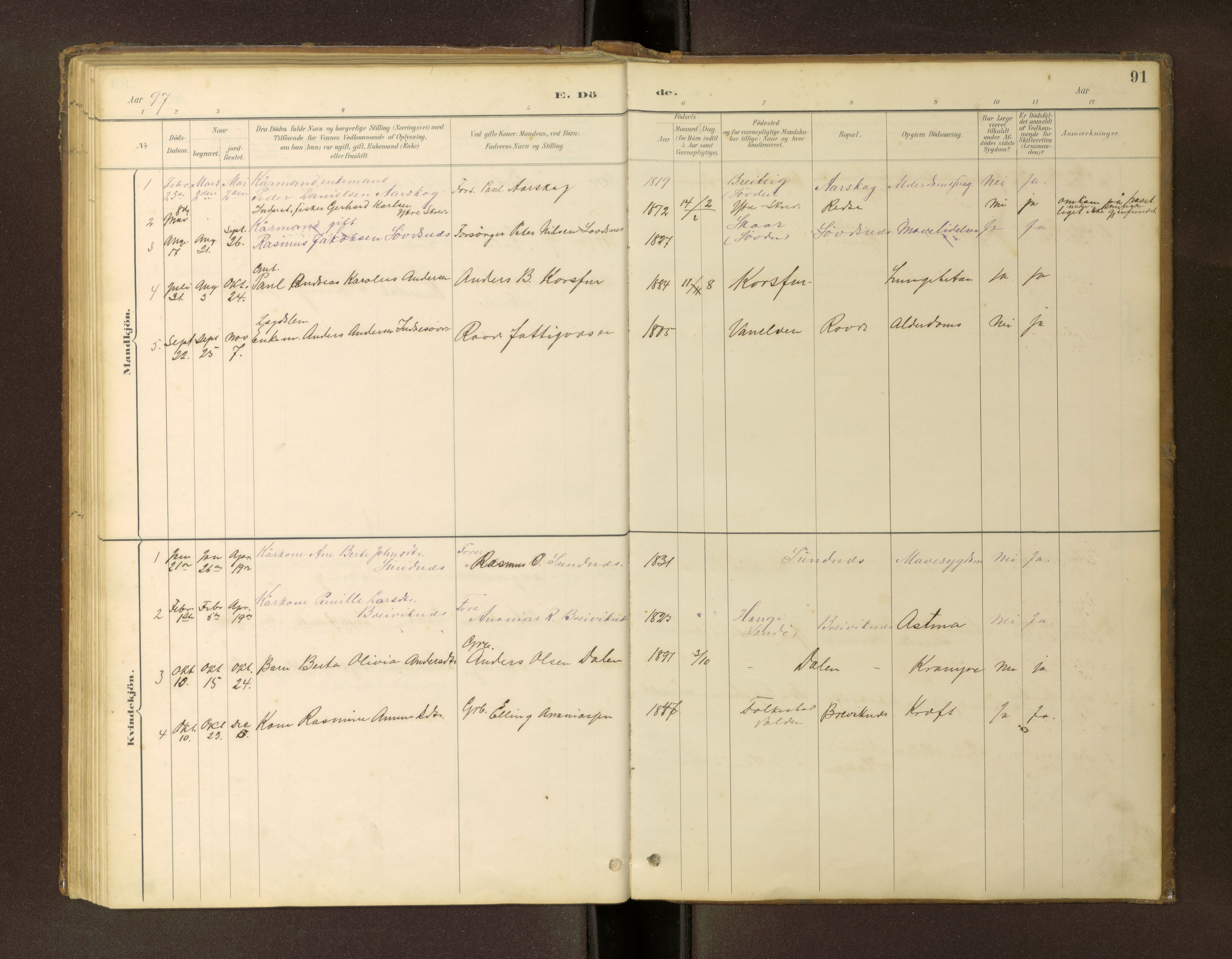 Ministerialprotokoller, klokkerbøker og fødselsregistre - Møre og Romsdal, SAT/A-1454/504/L0060: Klokkerbok nr. 504C02, 1884-1903, s. 91