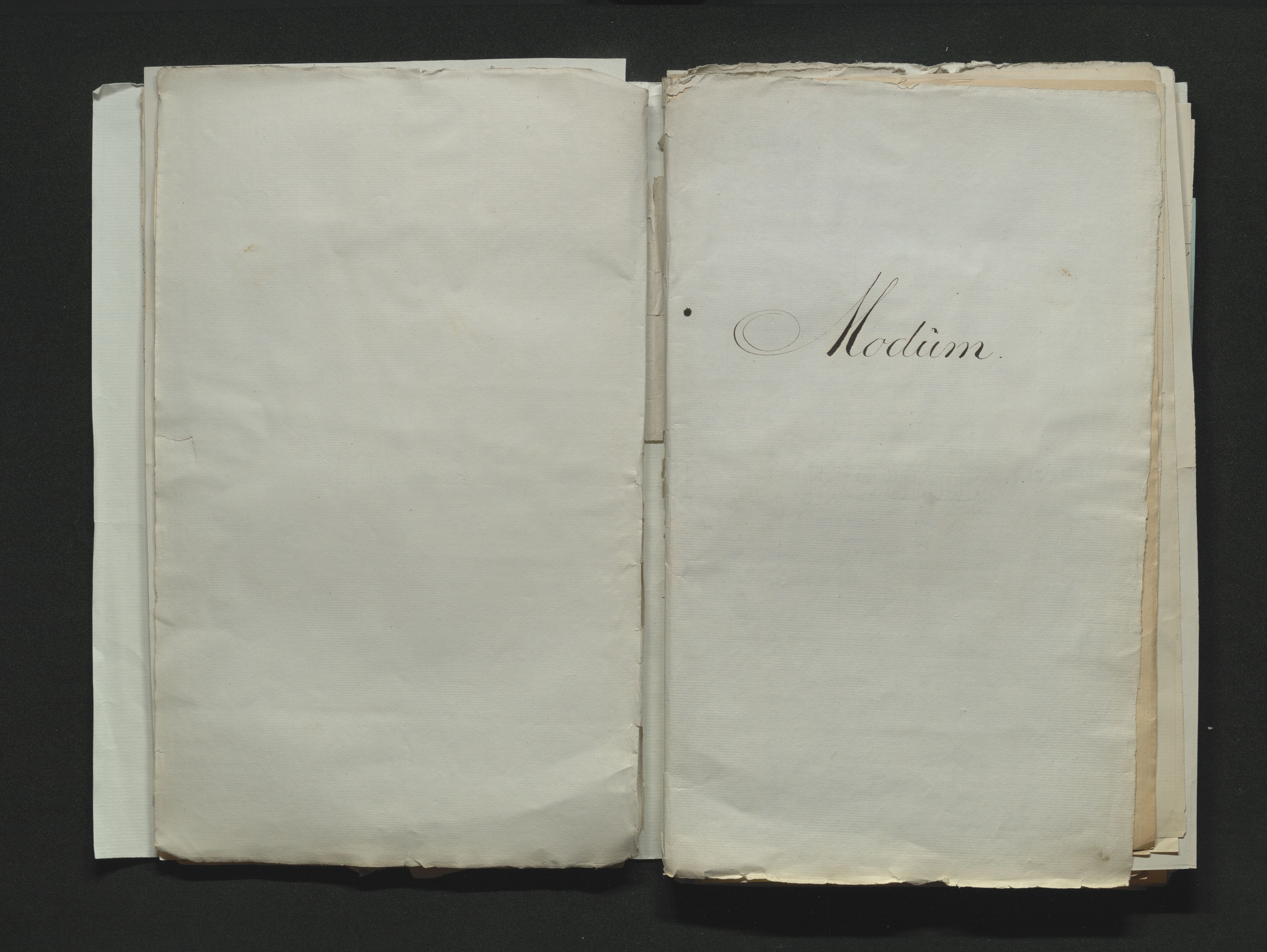 Eiker, Modum og Sigdal sorenskriveri, SAKO/A-123/H/Ha/Hab/L0011: Dødsfallsmeldinger, 1862-1865, s. 564