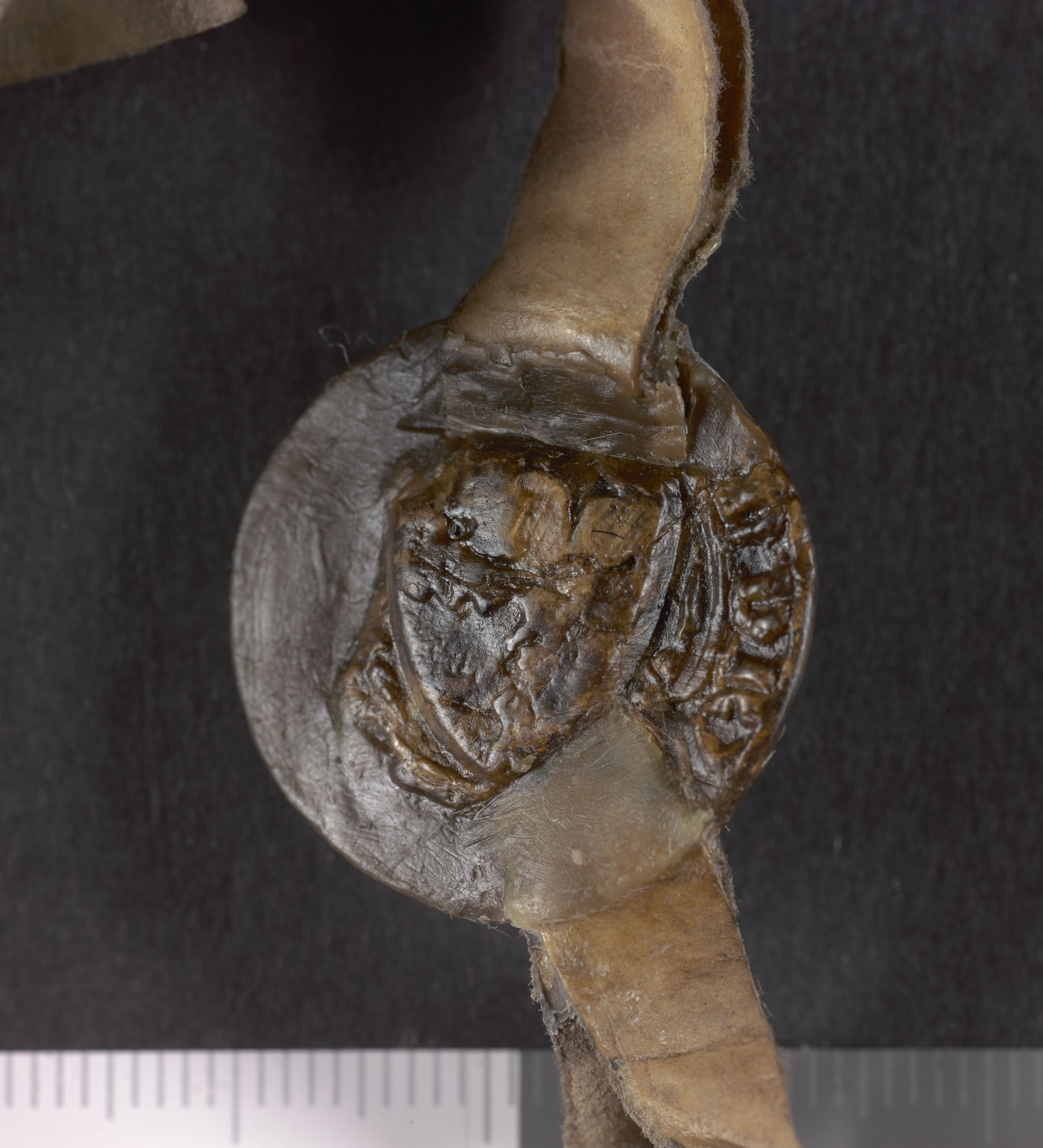 Riksarkivets diplomsamling, AV/RA-EA-5965/F05/L0106: NRA AM fasc. 34 nr. 14-18, 1347-1348, s. 5