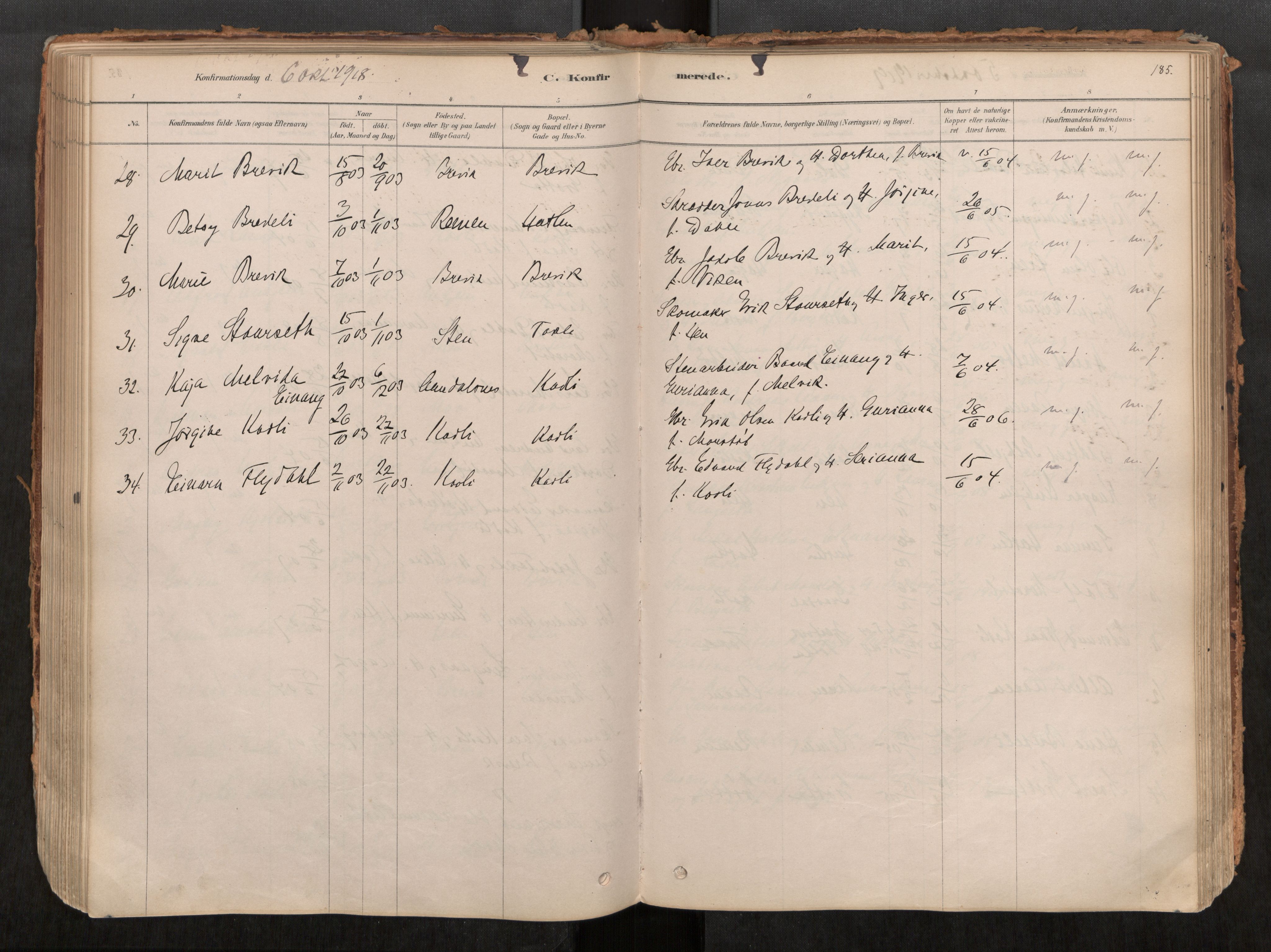 Ministerialprotokoller, klokkerbøker og fødselsregistre - Møre og Romsdal, AV/SAT-A-1454/545/L0594: Ministerialbok nr. 545A03, 1878-1920, s. 185