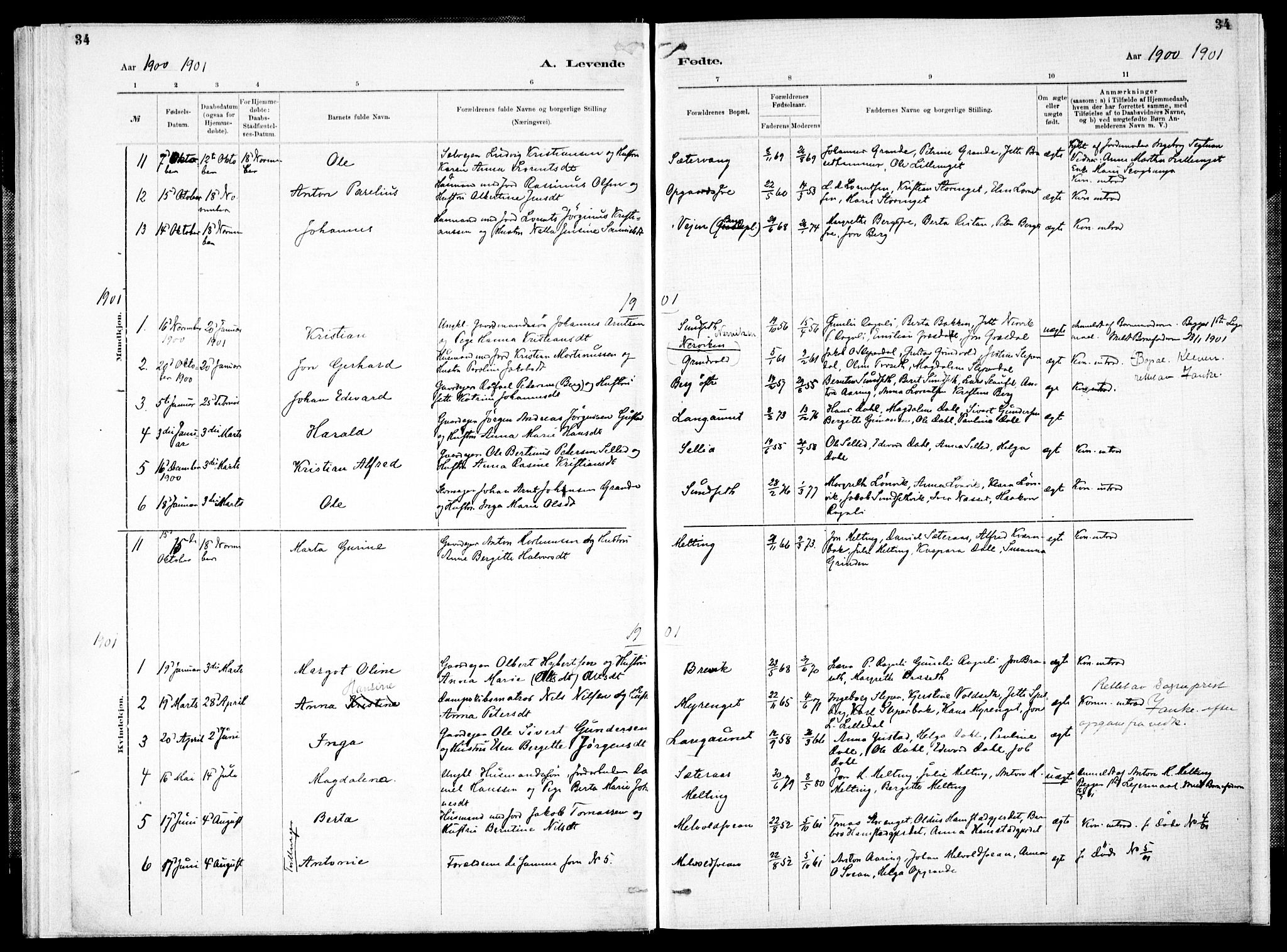 Ministerialprotokoller, klokkerbøker og fødselsregistre - Nord-Trøndelag, AV/SAT-A-1458/733/L0325: Ministerialbok nr. 733A04, 1884-1908, s. 34