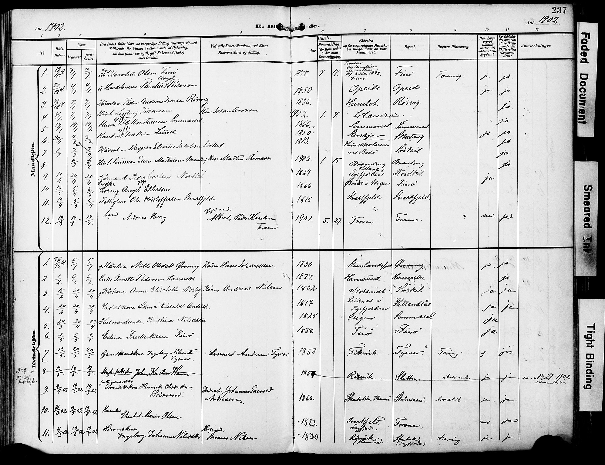 Ministerialprotokoller, klokkerbøker og fødselsregistre - Nordland, AV/SAT-A-1459/859/L0848: Ministerialbok nr. 859A08, 1900-1912, s. 237