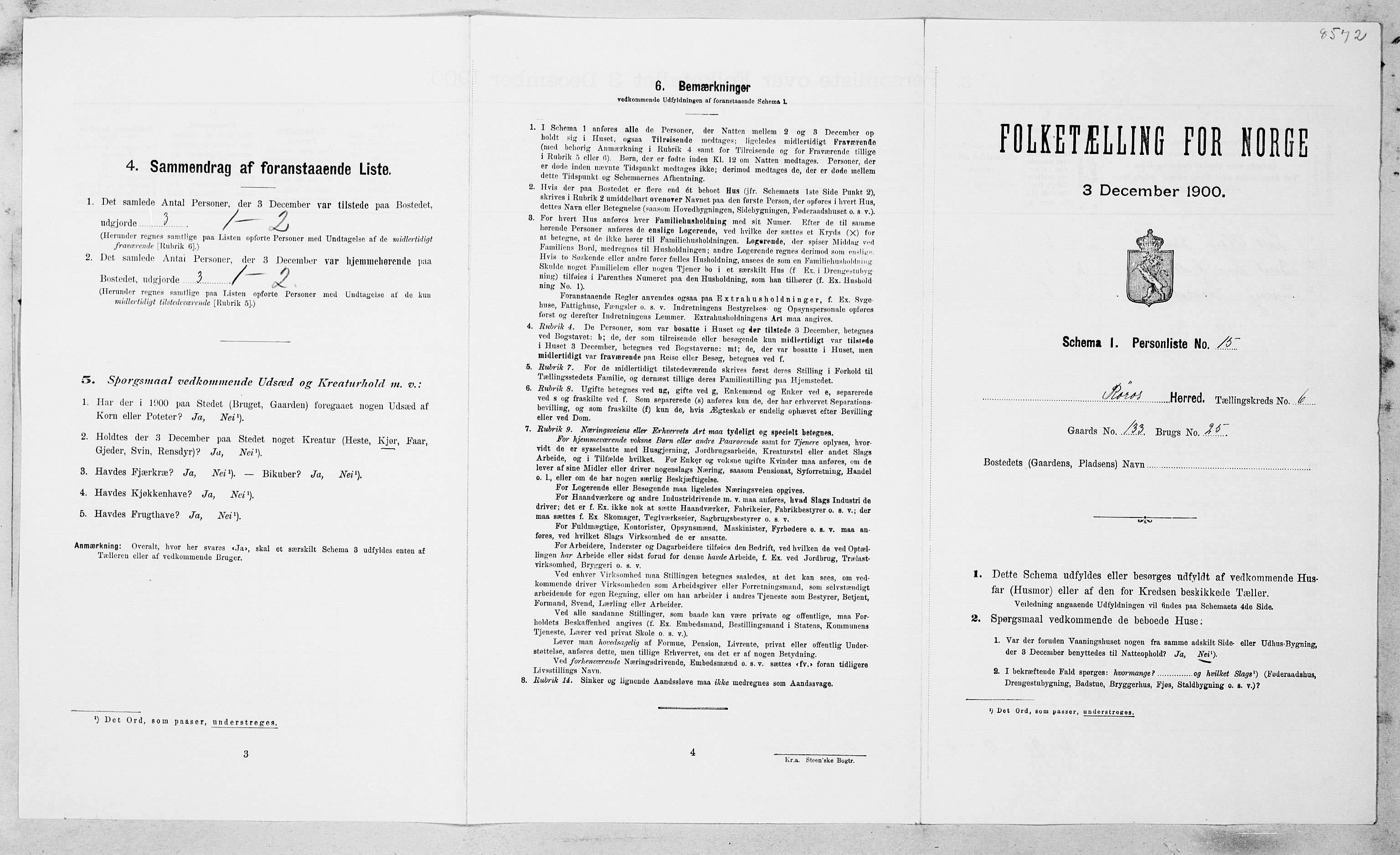 SAT, Folketelling 1900 for 1640 Røros herred, 1900, s. 794