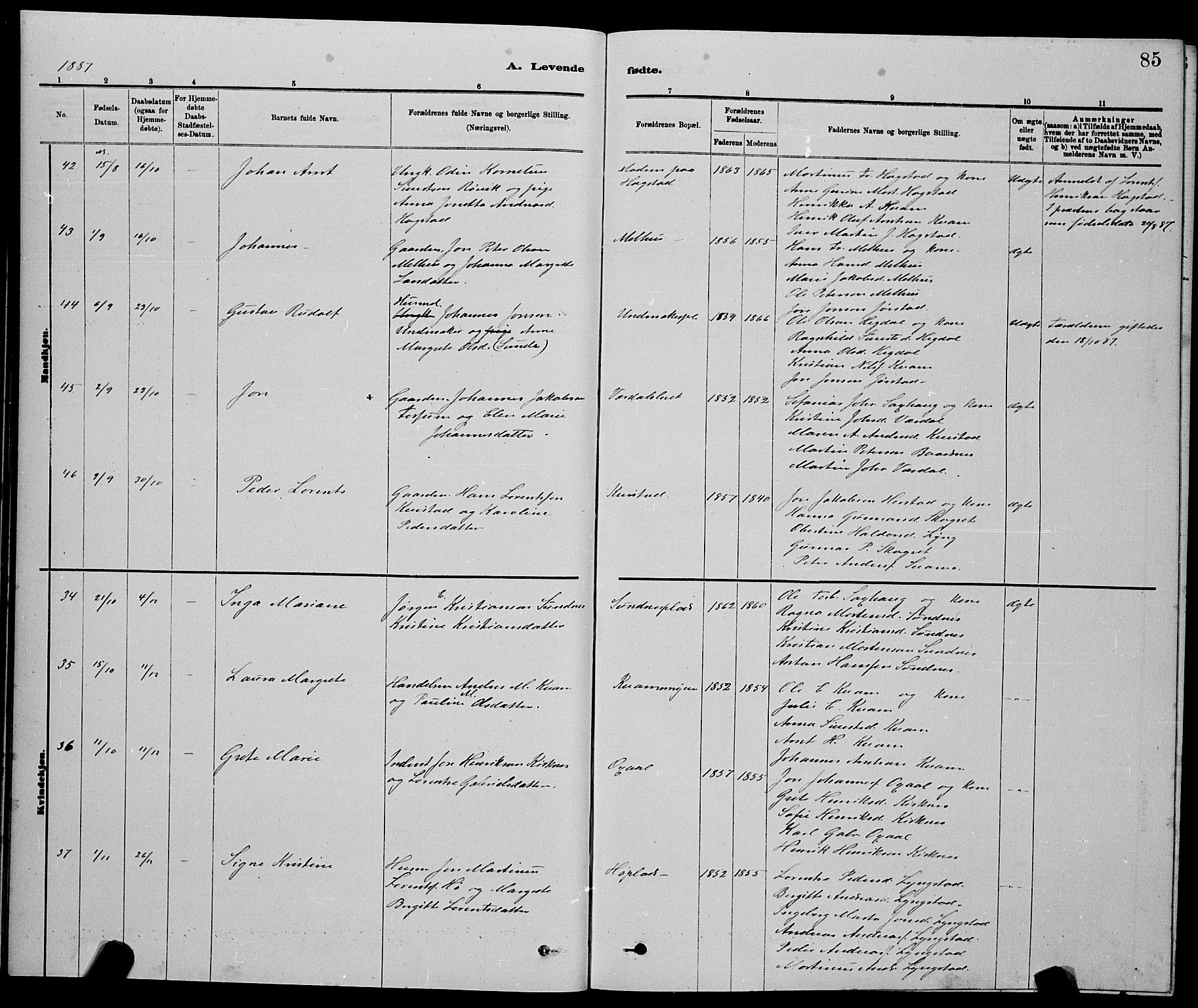 Ministerialprotokoller, klokkerbøker og fødselsregistre - Nord-Trøndelag, AV/SAT-A-1458/730/L0301: Klokkerbok nr. 730C04, 1880-1897, s. 85