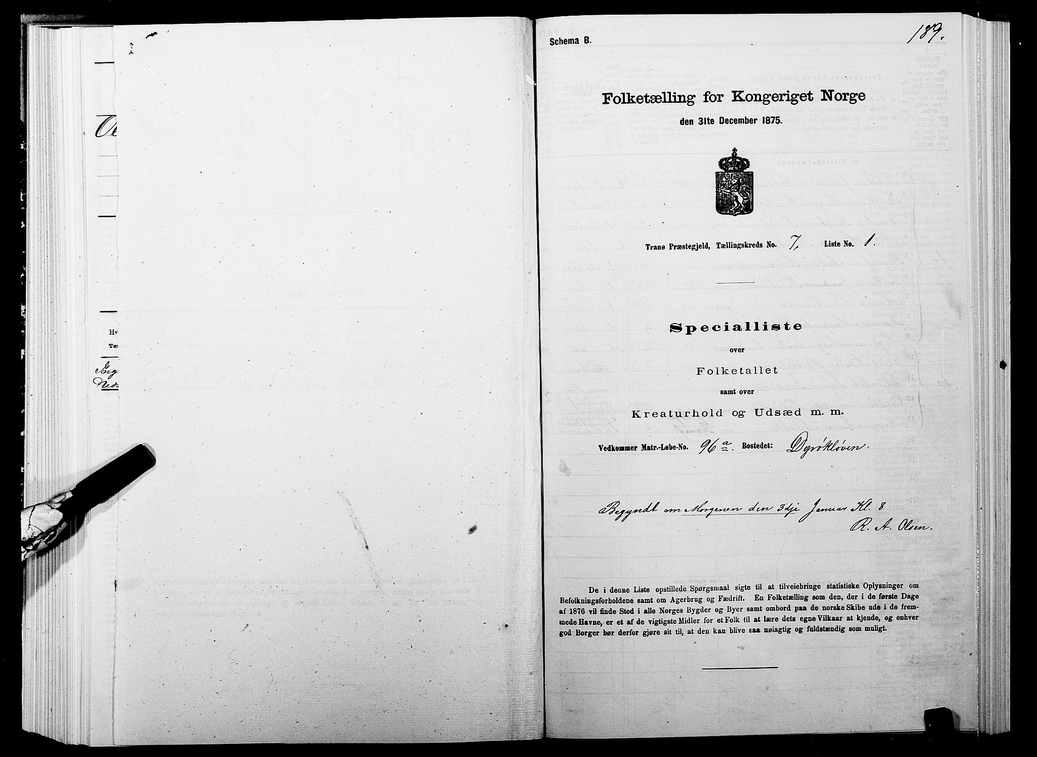 SATØ, Folketelling 1875 for 1927P Tranøy prestegjeld, 1875, s. 3189