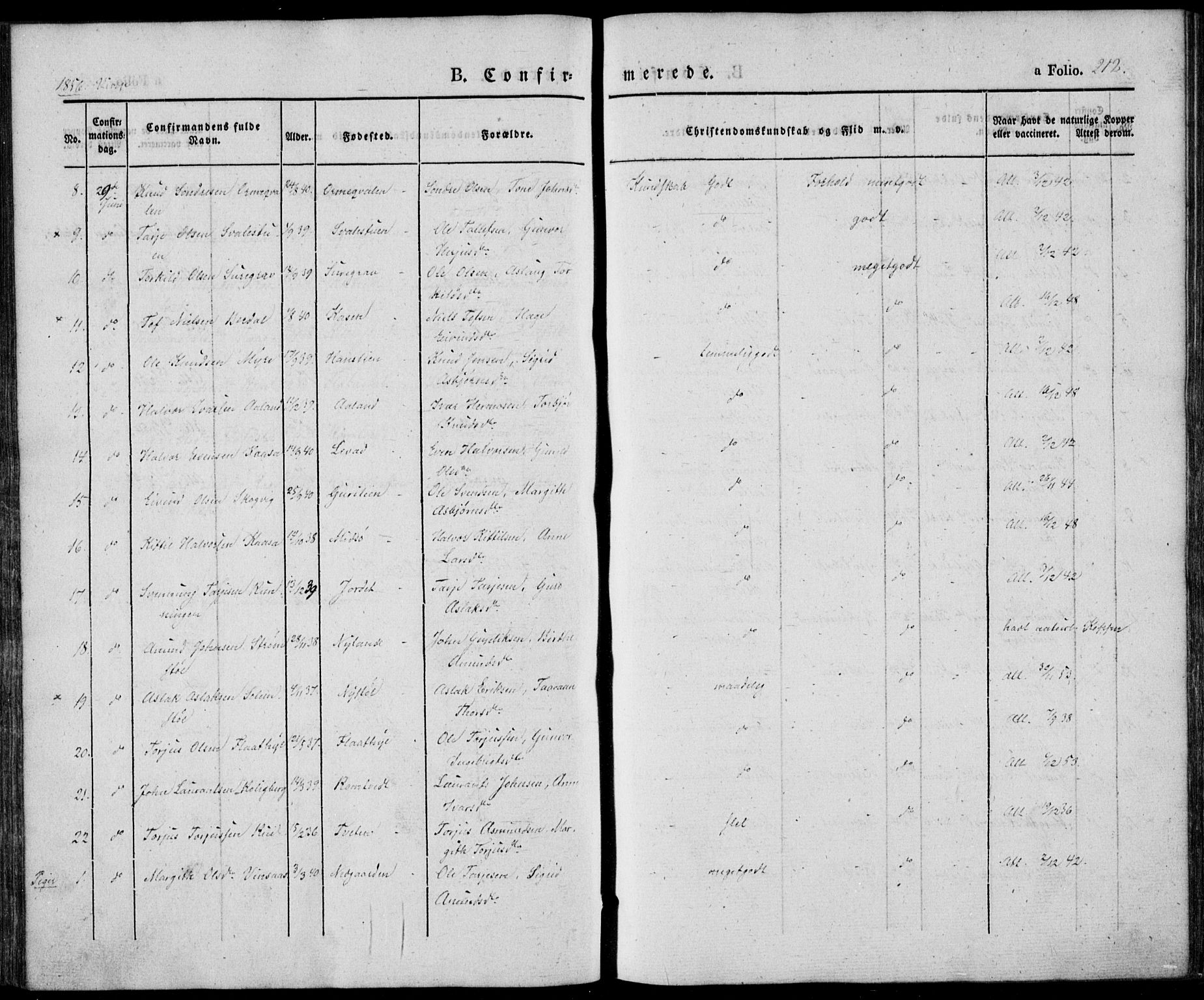 Vinje kirkebøker, AV/SAKO-A-312/F/Fa/L0004: Ministerialbok nr. I 4, 1843-1869, s. 212