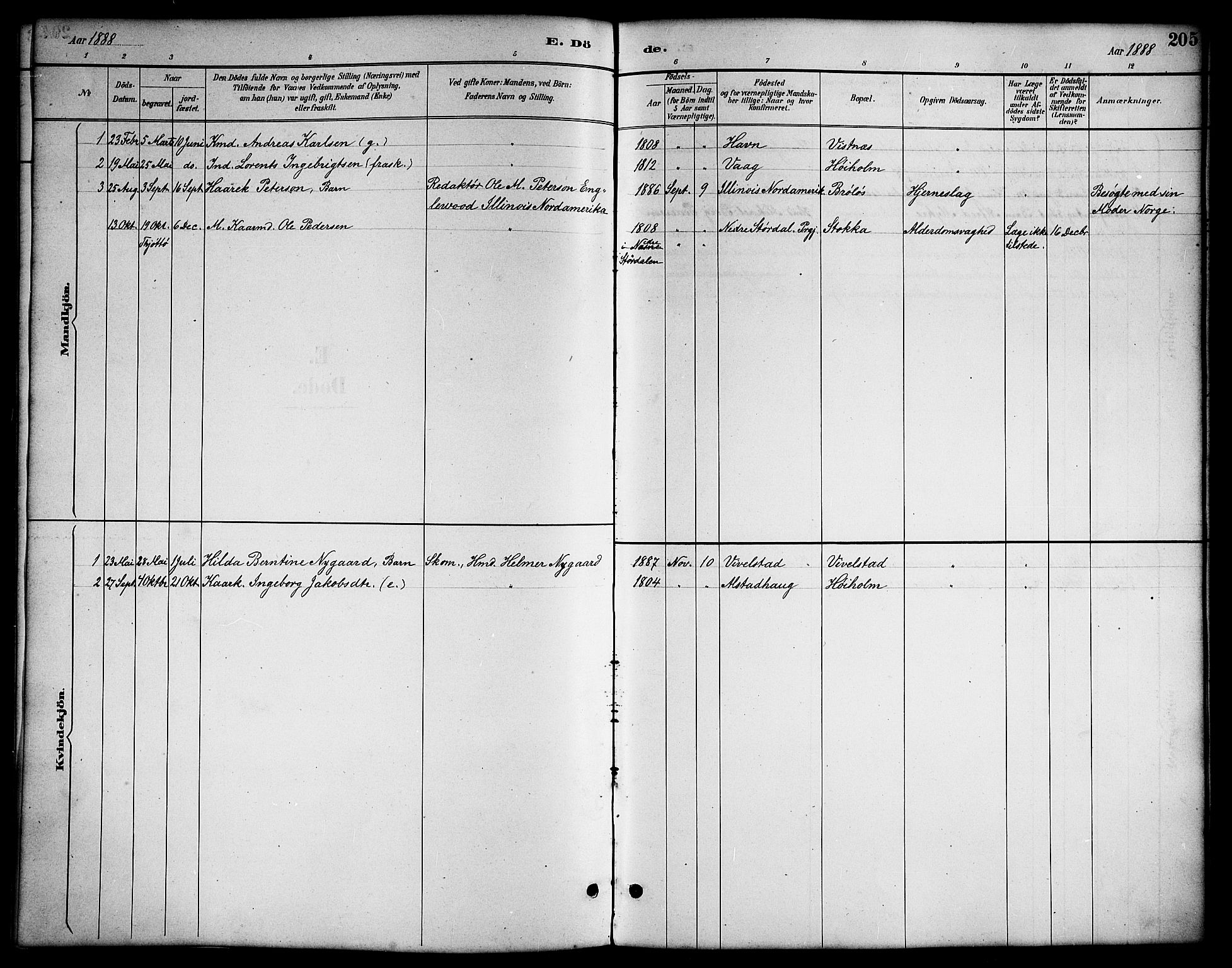 Ministerialprotokoller, klokkerbøker og fødselsregistre - Nordland, AV/SAT-A-1459/819/L0277: Klokkerbok nr. 819C03, 1888-1917, s. 205