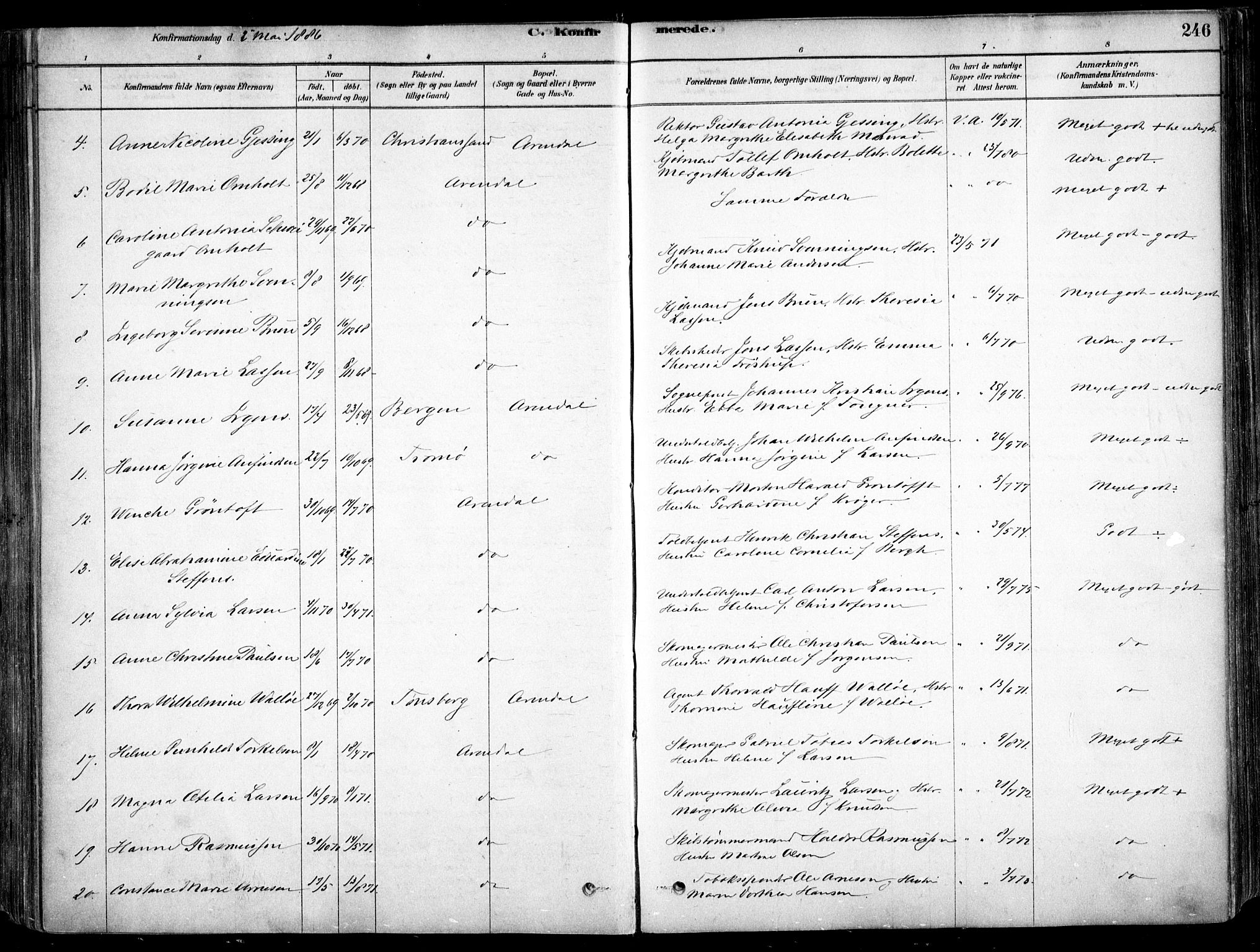 Arendal sokneprestkontor, Trefoldighet, AV/SAK-1111-0040/F/Fa/L0008: Ministerialbok nr. A 8, 1878-1899, s. 246