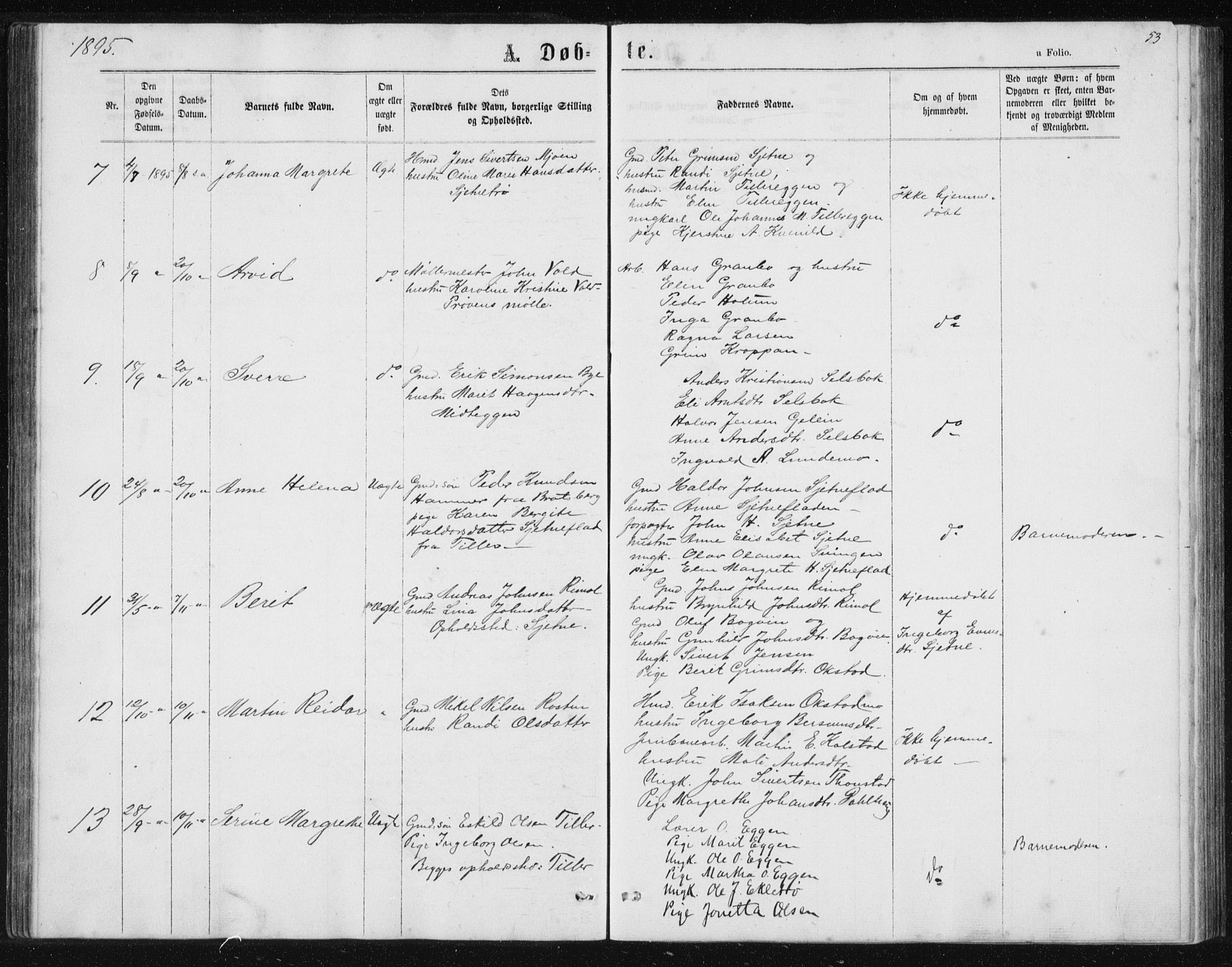 Ministerialprotokoller, klokkerbøker og fødselsregistre - Sør-Trøndelag, AV/SAT-A-1456/621/L0459: Klokkerbok nr. 621C02, 1866-1895, s. 53