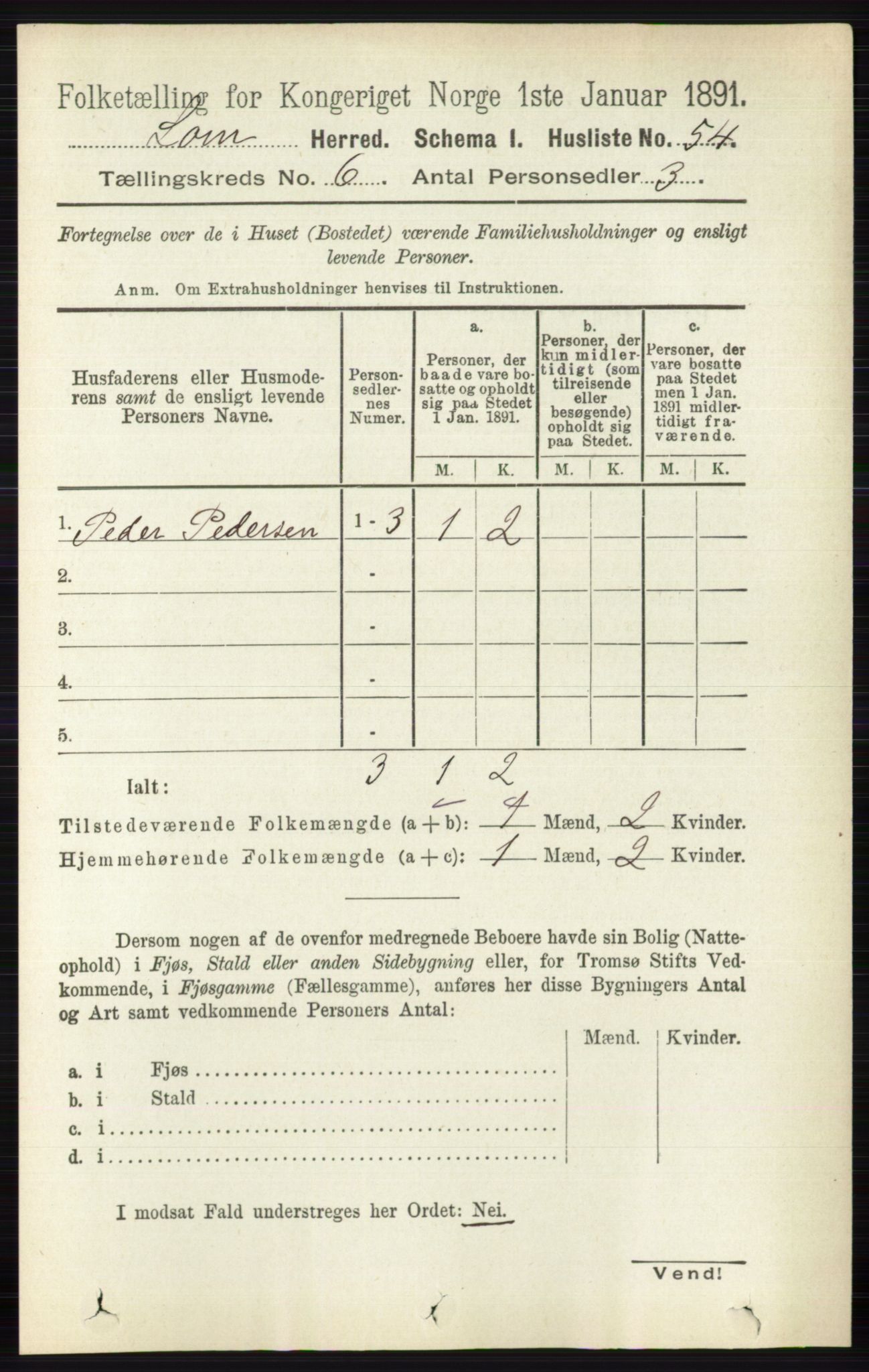 RA, Folketelling 1891 for 0514 Lom herred, 1891, s. 2357