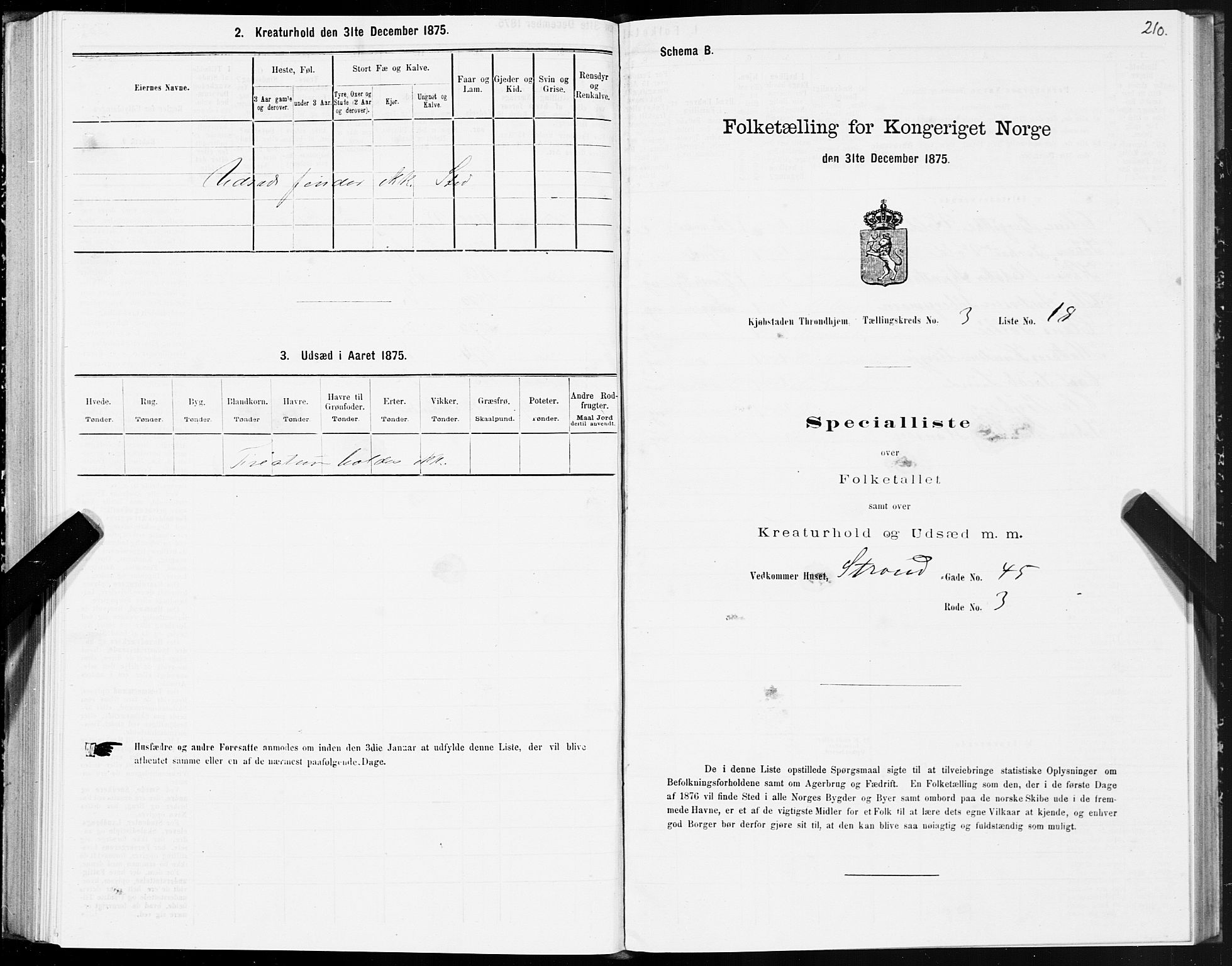 SAT, Folketelling 1875 for 1601 Trondheim kjøpstad, 1875, s. 2210