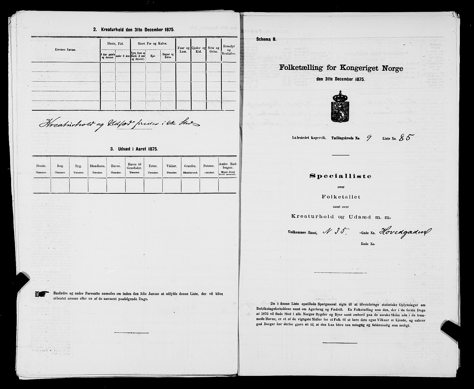 SAST, Folketelling 1875 for 1105B Avaldsnes prestegjeld, Kopervik ladested, 1875, s. 169