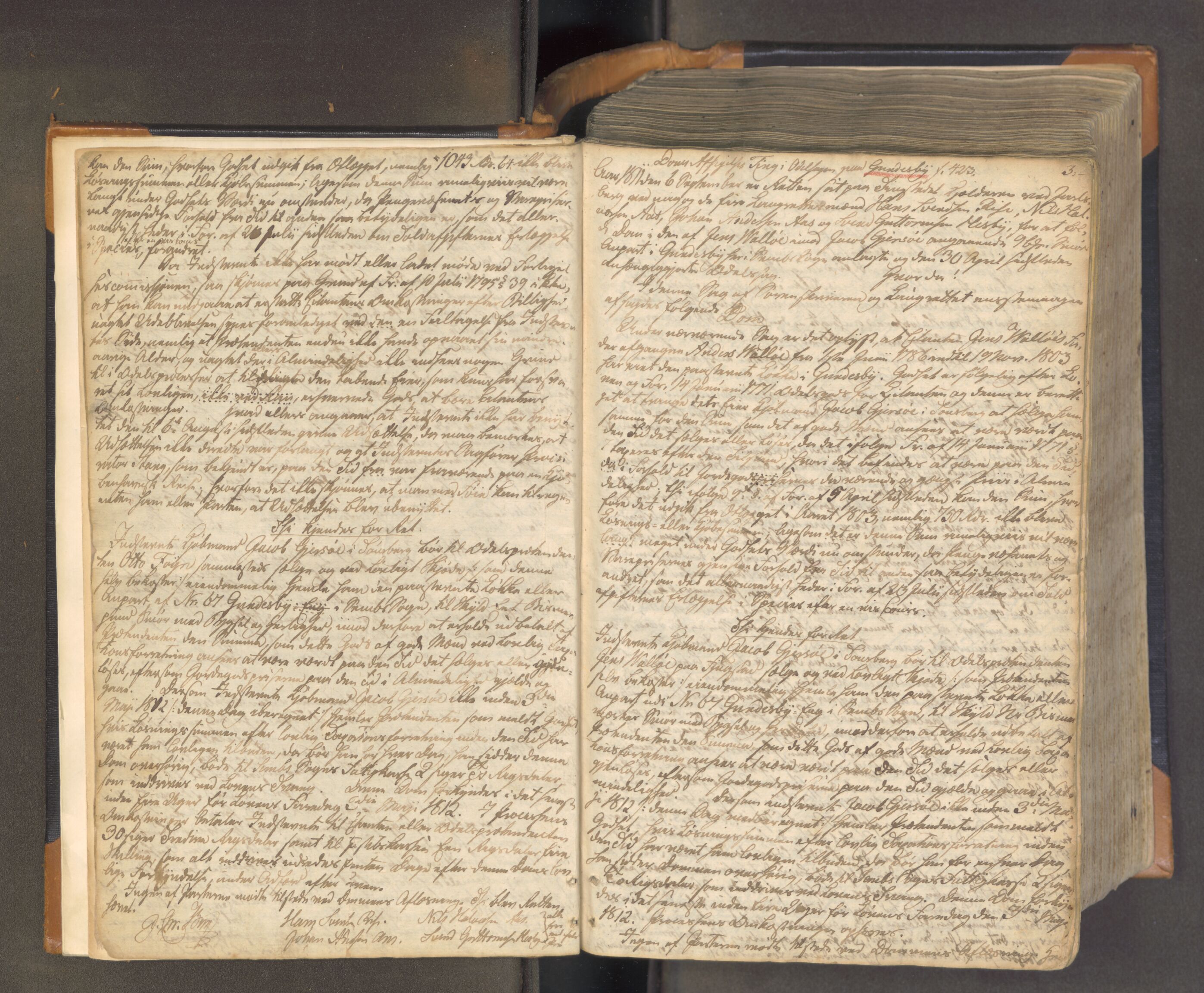 Søndre Jarlsberg sorenskriveri, AV/SAKO-A-129/F/Fa/L0028: Tingbok, 1811-1819, s. 2b-3a