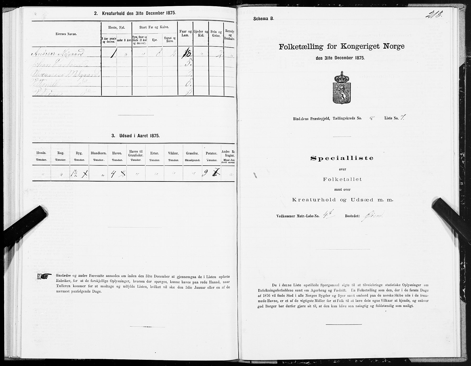 SAT, Folketelling 1875 for 1811P Bindal prestegjeld, 1875, s. 2213