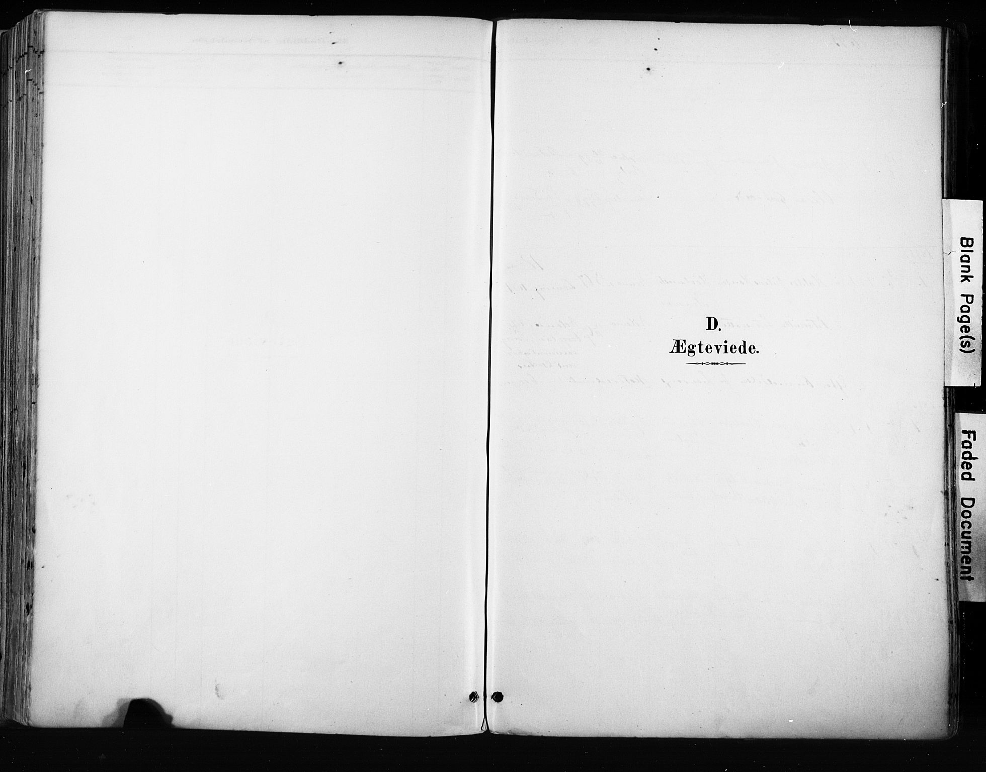 Tjølling kirkebøker, AV/SAKO-A-60/F/Fa/L0009: Ministerialbok nr. 9, 1887-1905