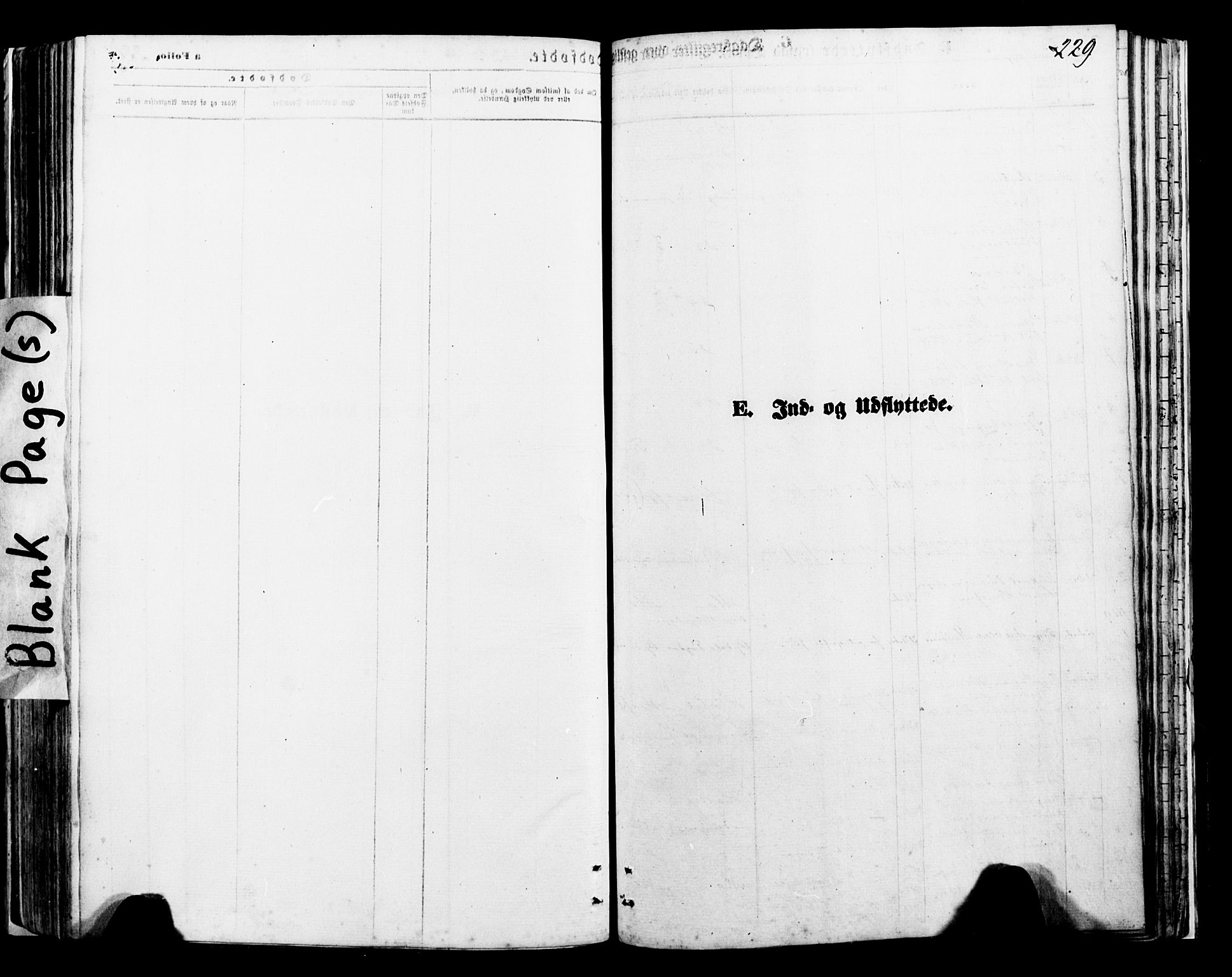 Ministerialprotokoller, klokkerbøker og fødselsregistre - Nordland, SAT/A-1459/897/L1397: Ministerialbok nr. 897A05 /1, 1867-1880, s. 229