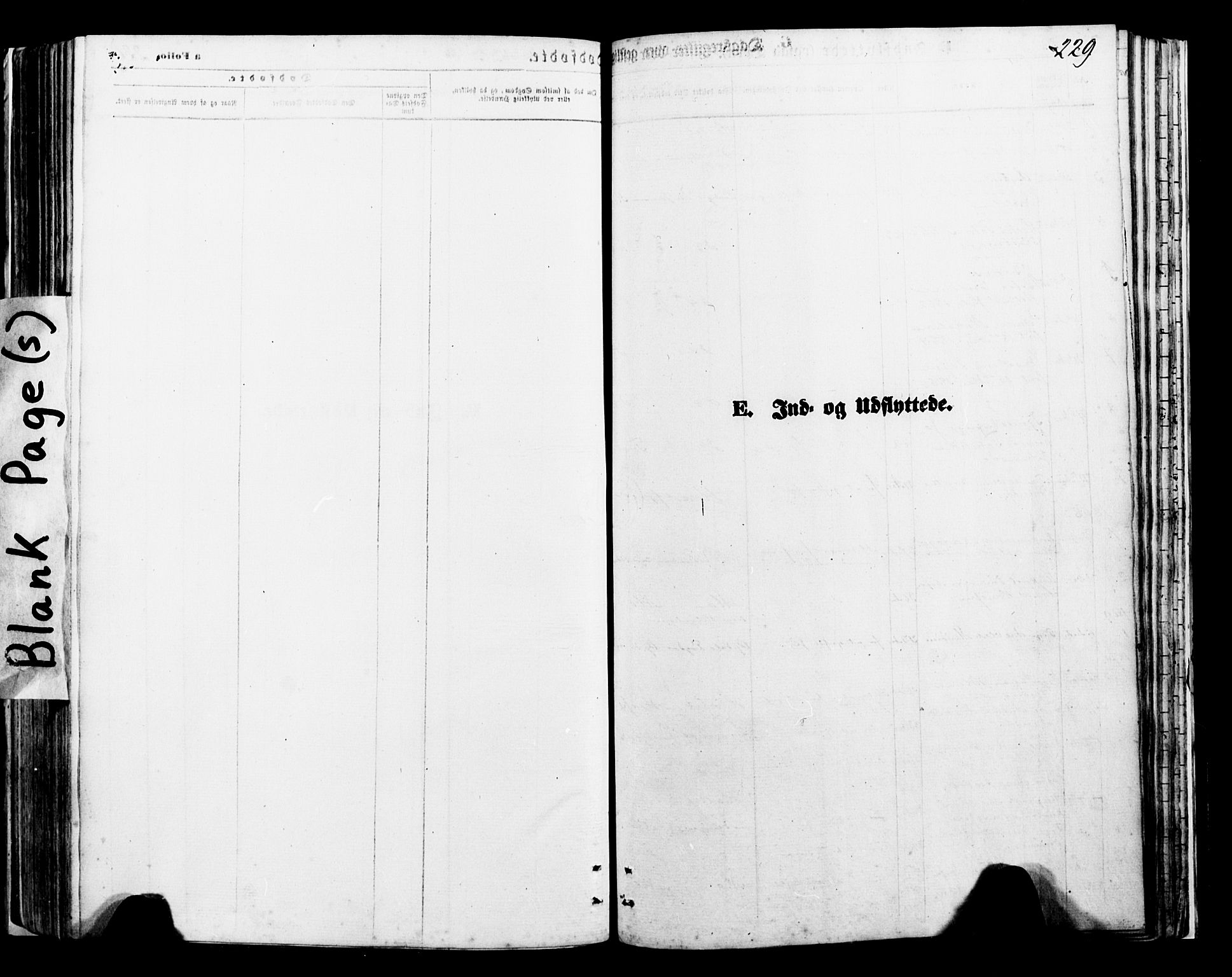 Ministerialprotokoller, klokkerbøker og fødselsregistre - Nordland, AV/SAT-A-1459/897/L1397: Ministerialbok nr. 897A05 /1, 1867-1880, s. 229