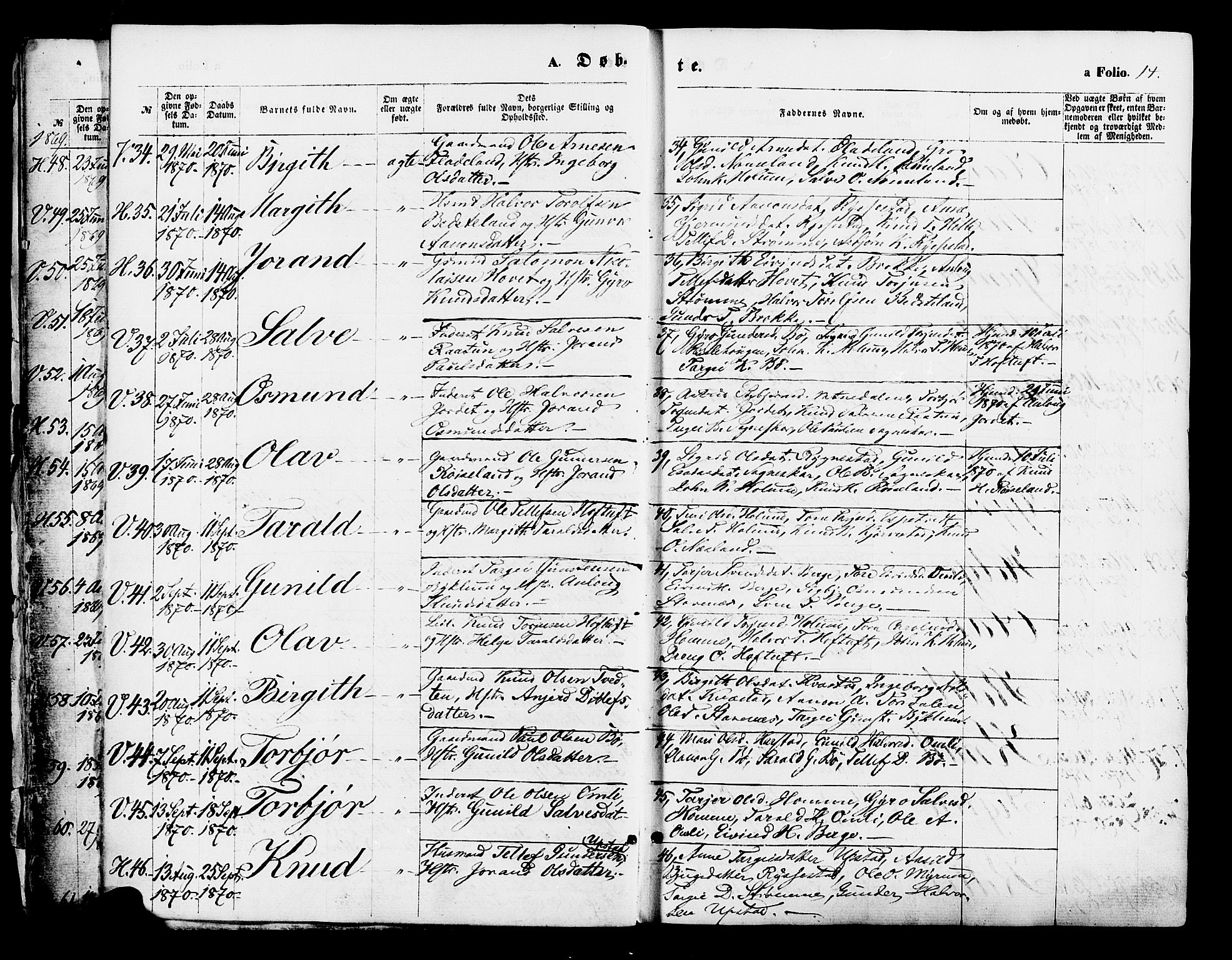 Valle sokneprestkontor, AV/SAK-1111-0044/F/Fa/Fac/L0008: Ministerialbok nr. A 8, 1868-1882, s. 14