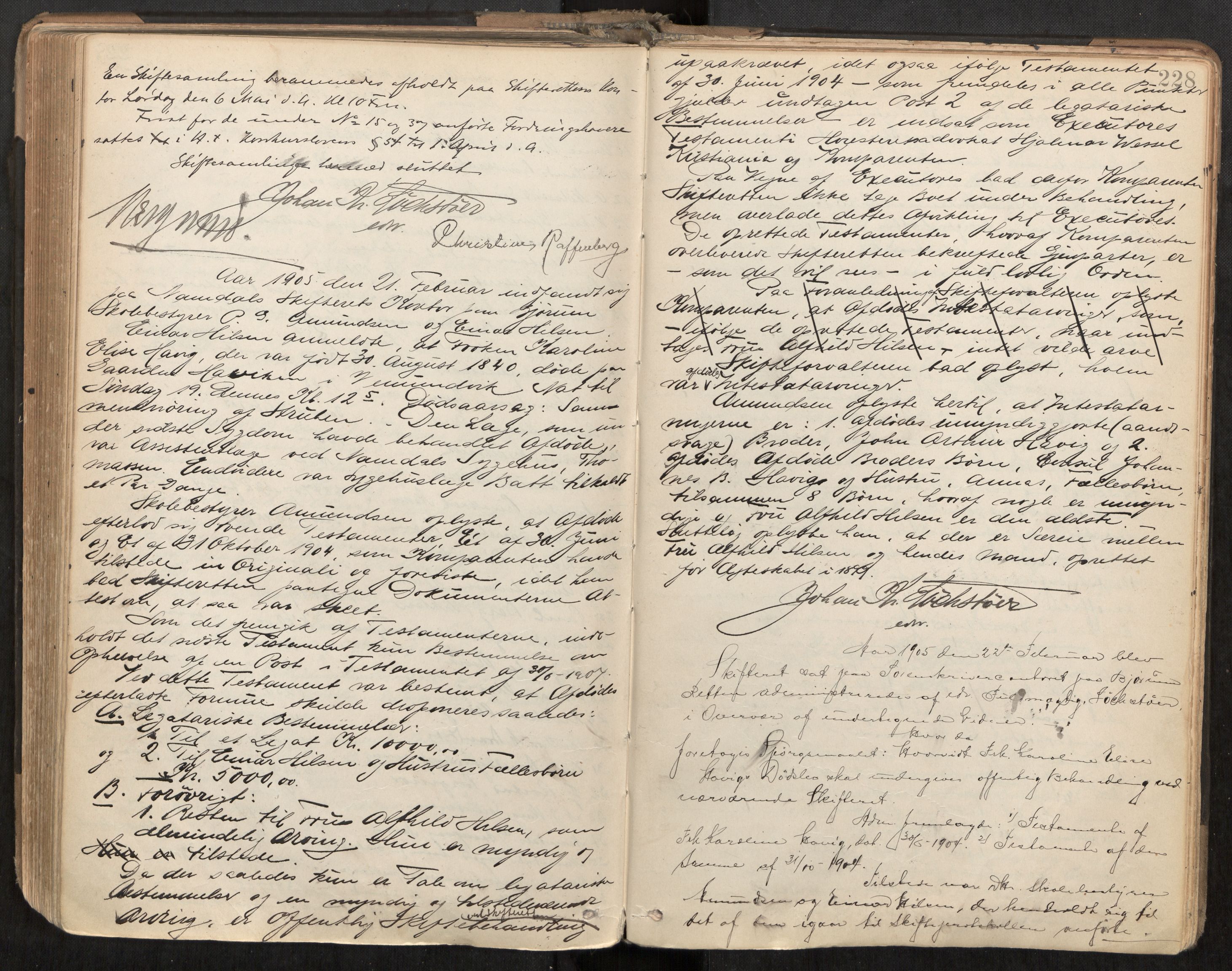 Namdal sorenskriveri, AV/SAT-A-4133/1/3/3B/L0007: Skiftebehandlingsprotokoll, 1899-1905, s. 228