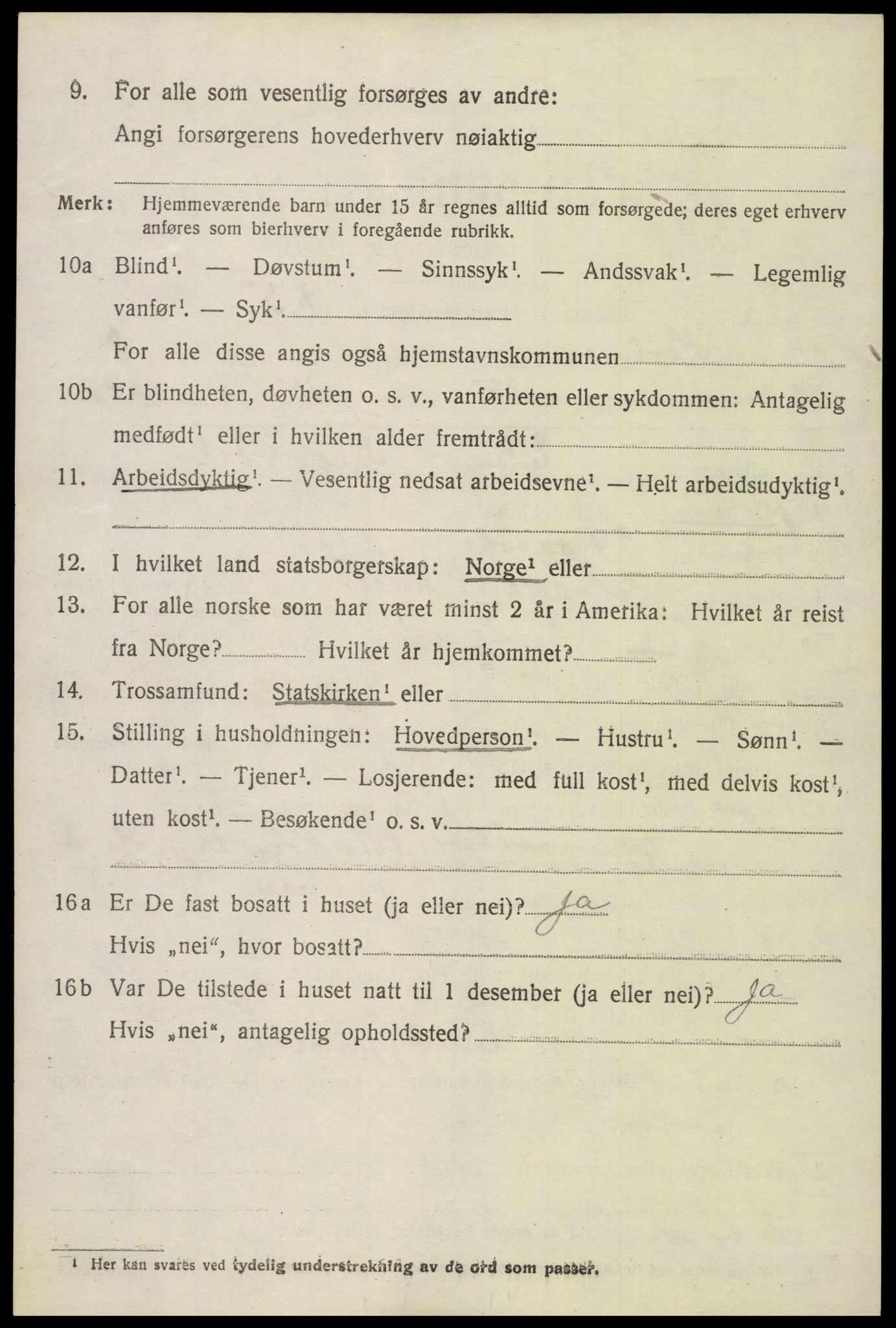SAK, Folketelling 1920 for 0936 Hornnes herred, 1920, s. 2184