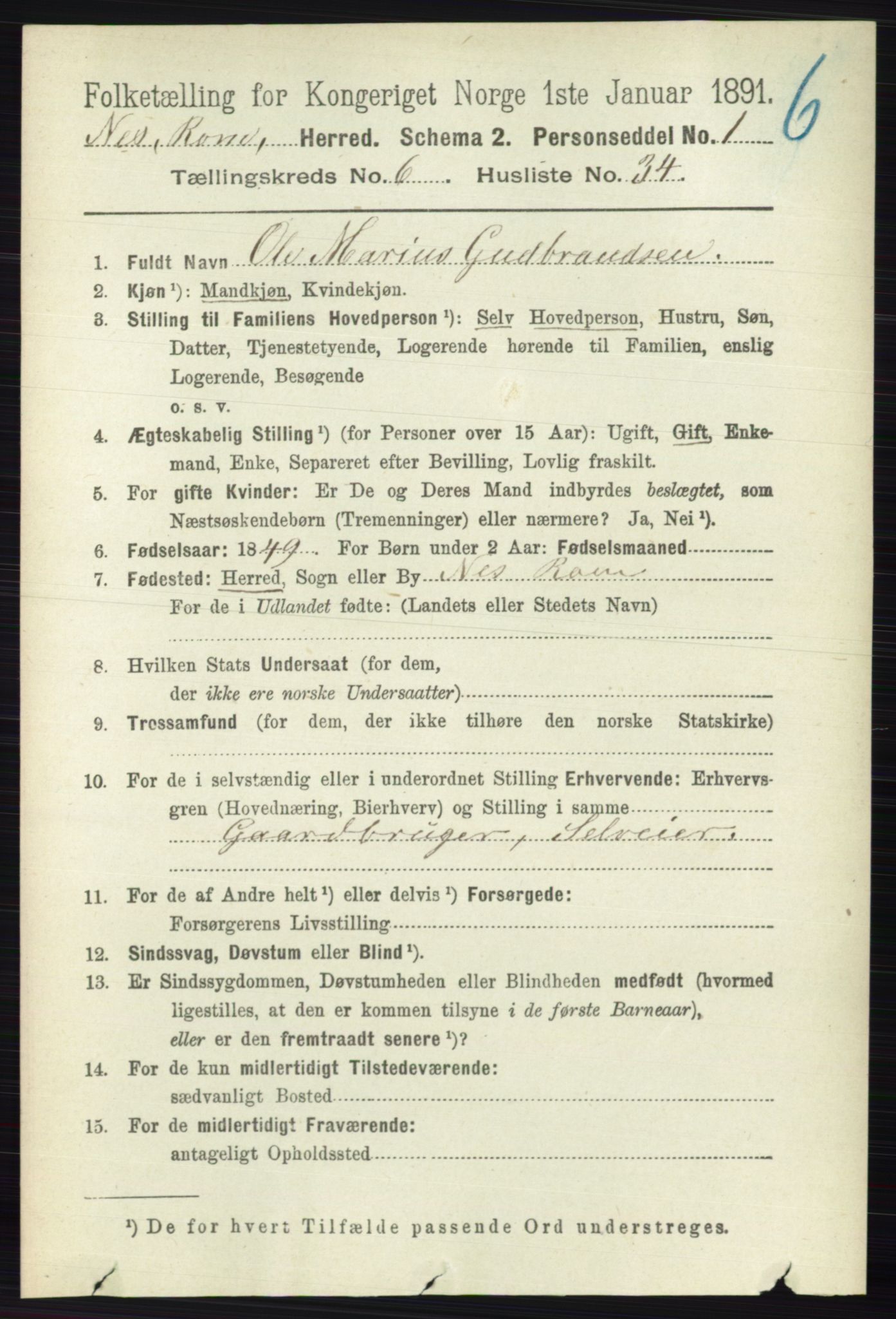 RA, Folketelling 1891 for 0236 Nes herred, 1891, s. 3594