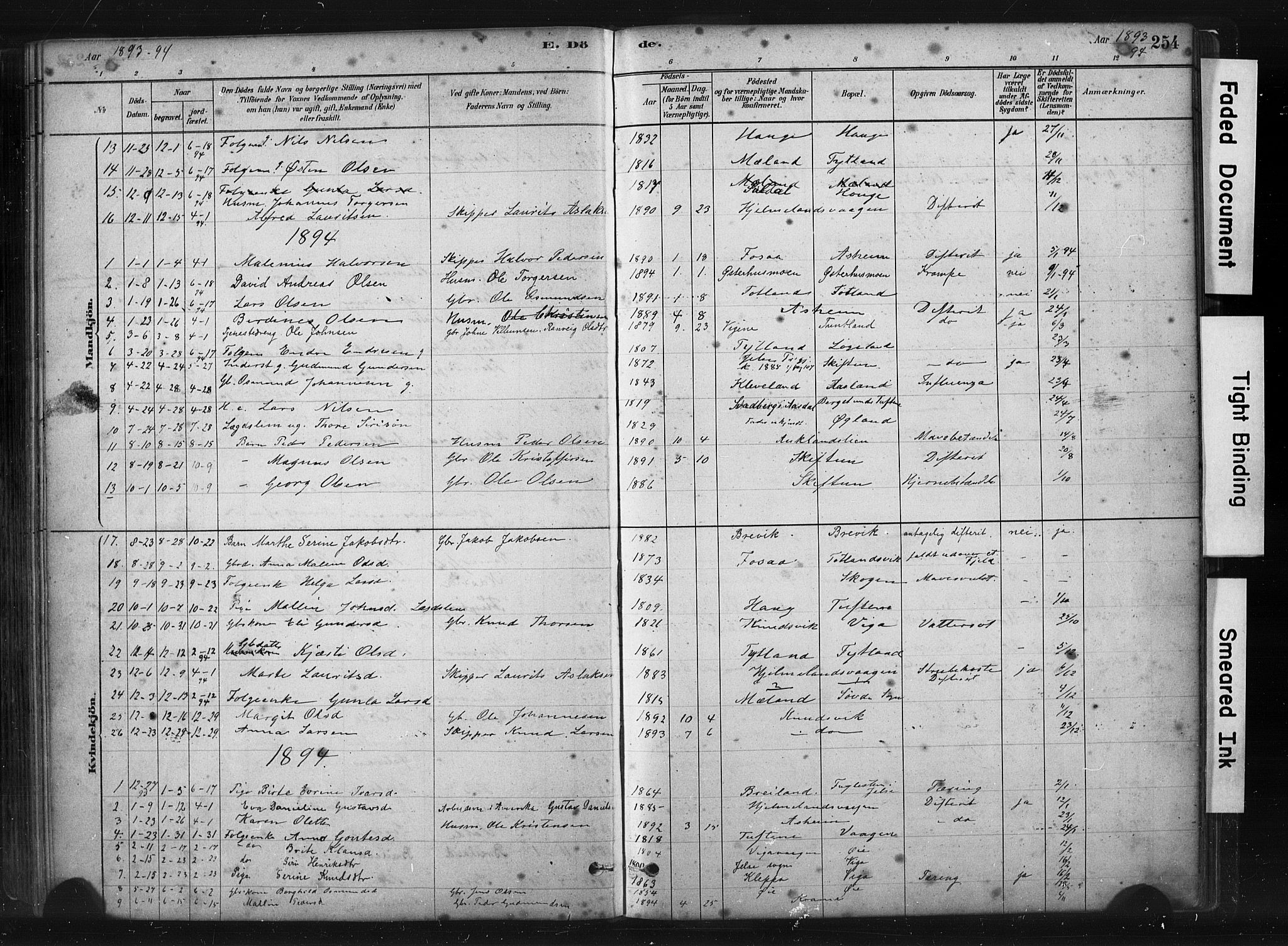 Hjelmeland sokneprestkontor, SAST/A-101843/01/IV/L0014: Ministerialbok nr. A 14, 1879-1900, s. 254