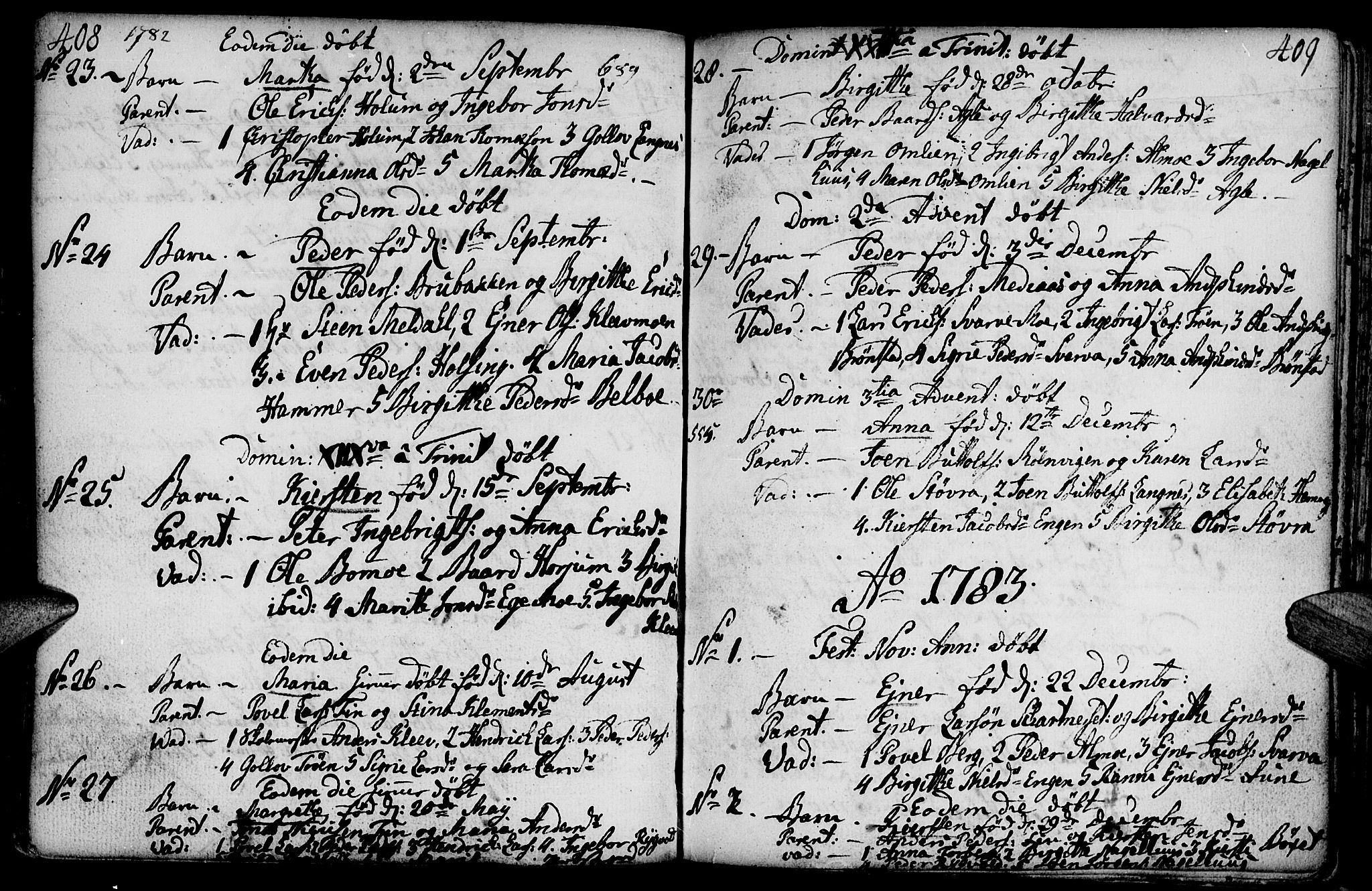 Ministerialprotokoller, klokkerbøker og fødselsregistre - Nord-Trøndelag, AV/SAT-A-1458/749/L0467: Ministerialbok nr. 749A01, 1733-1787, s. 408-409