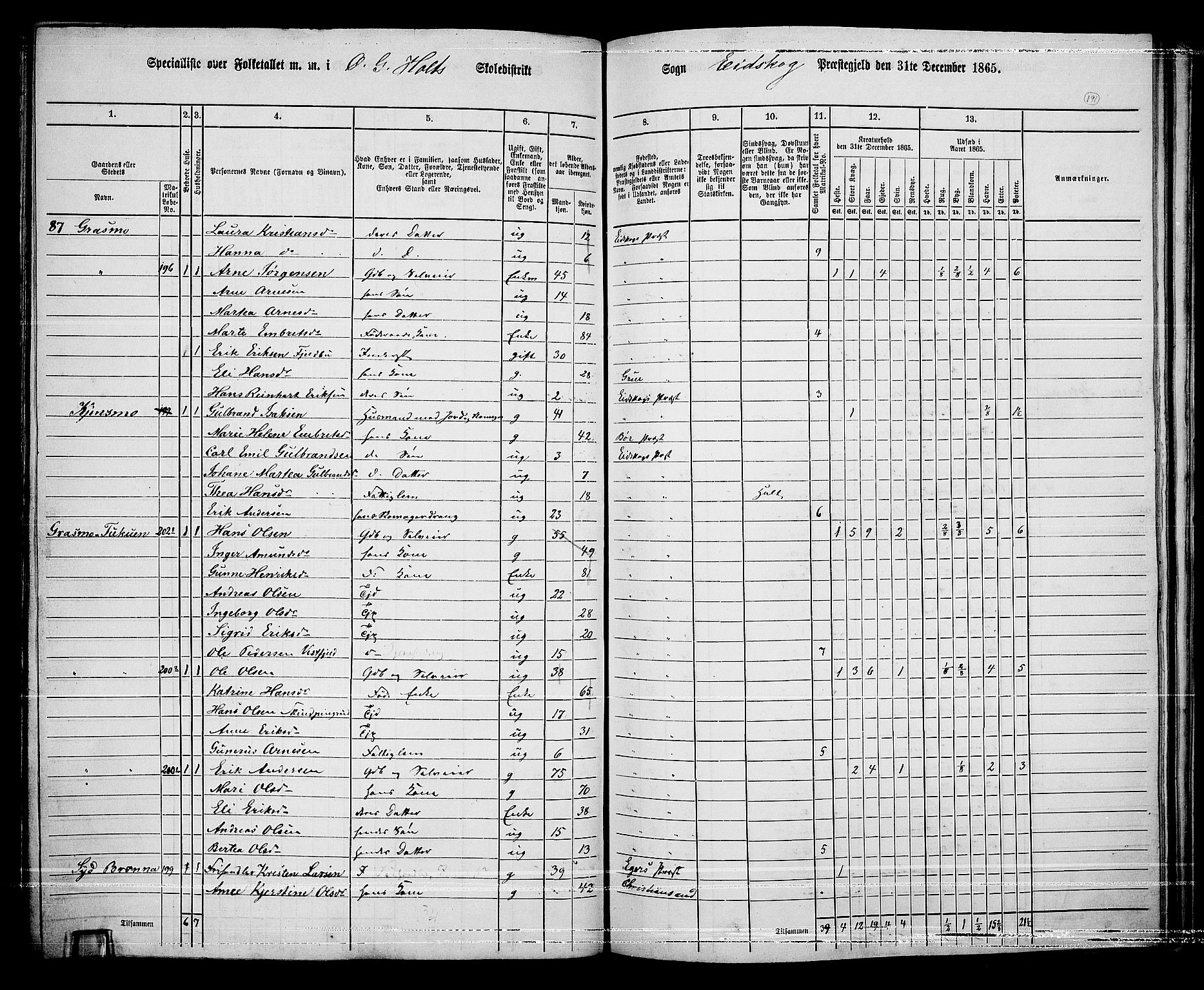 RA, Folketelling 1865 for 0420P Eidskog prestegjeld, 1865, s. 169