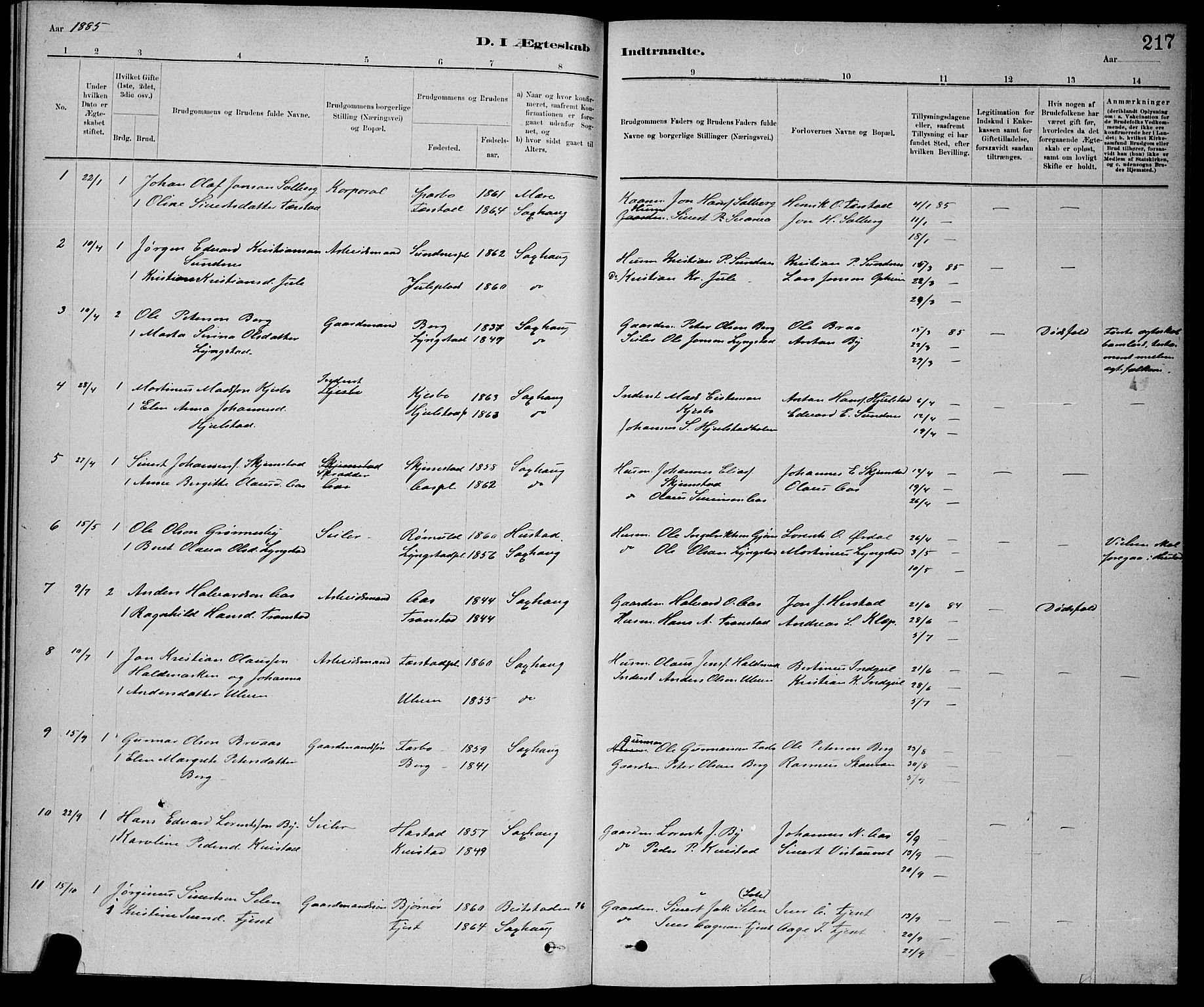 Ministerialprotokoller, klokkerbøker og fødselsregistre - Nord-Trøndelag, AV/SAT-A-1458/730/L0301: Klokkerbok nr. 730C04, 1880-1897, s. 217