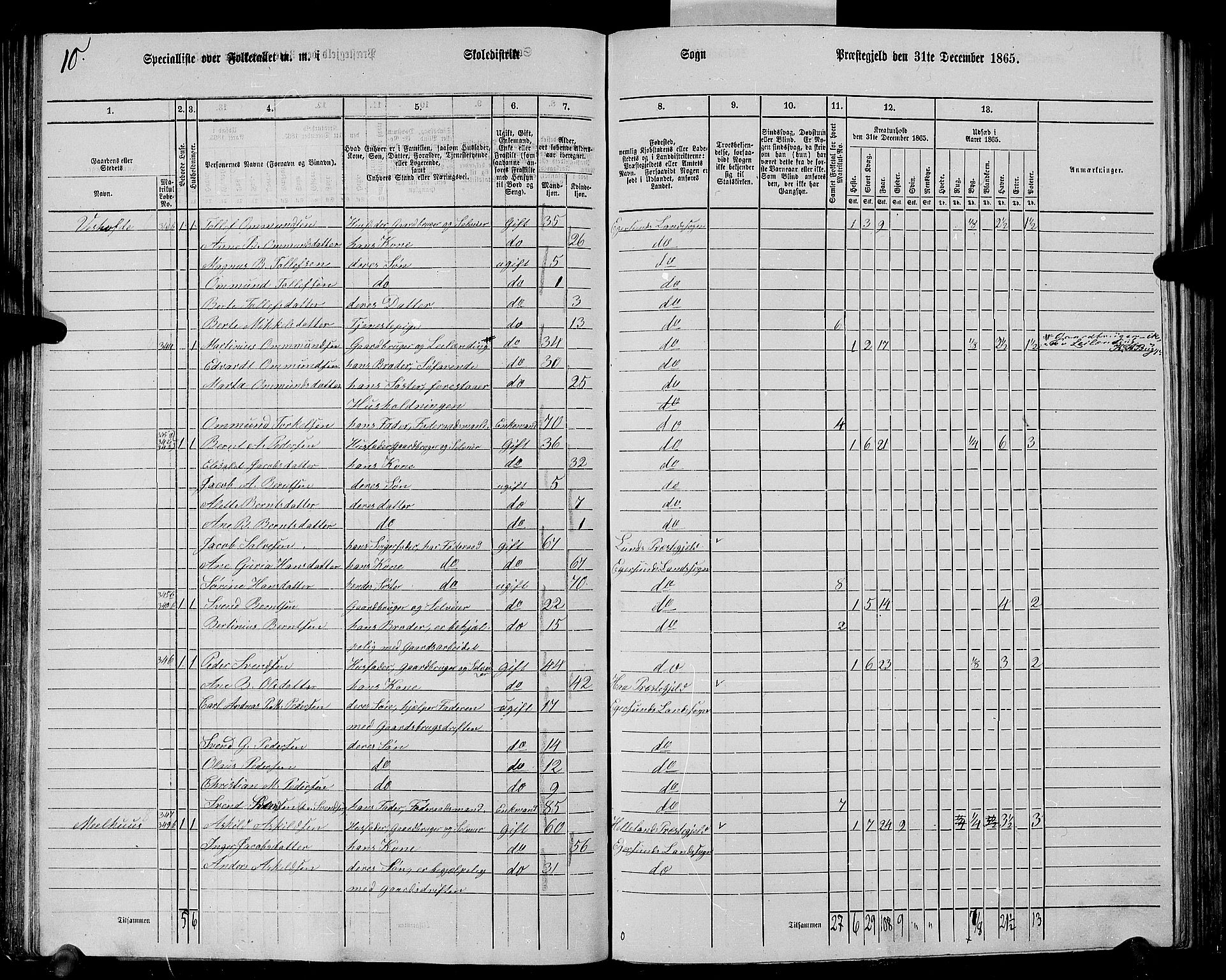 RA, Folketelling 1865 for 1116L Eigersund prestegjeld, Eigersund landsokn og Ogna sokn, 1865, s. 66