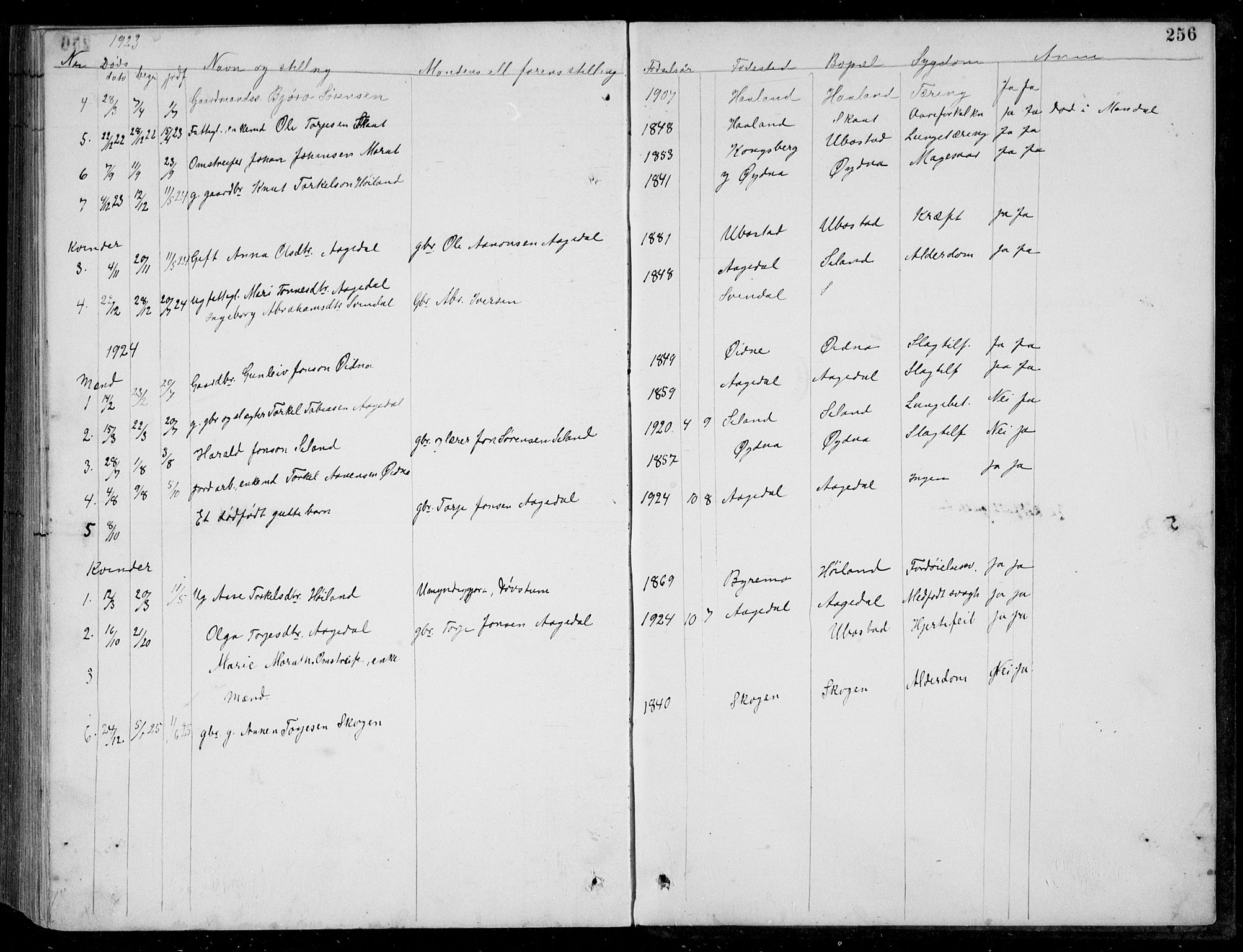 Bjelland sokneprestkontor, AV/SAK-1111-0005/F/Fb/Fbc/L0003: Klokkerbok nr. B 3, 1887-1924, s. 256