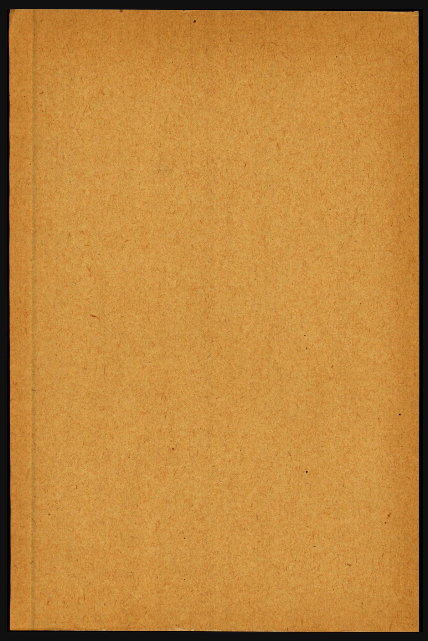 RA, Folketelling 1891 for 1424 Årdal herred, 1891, s. 987