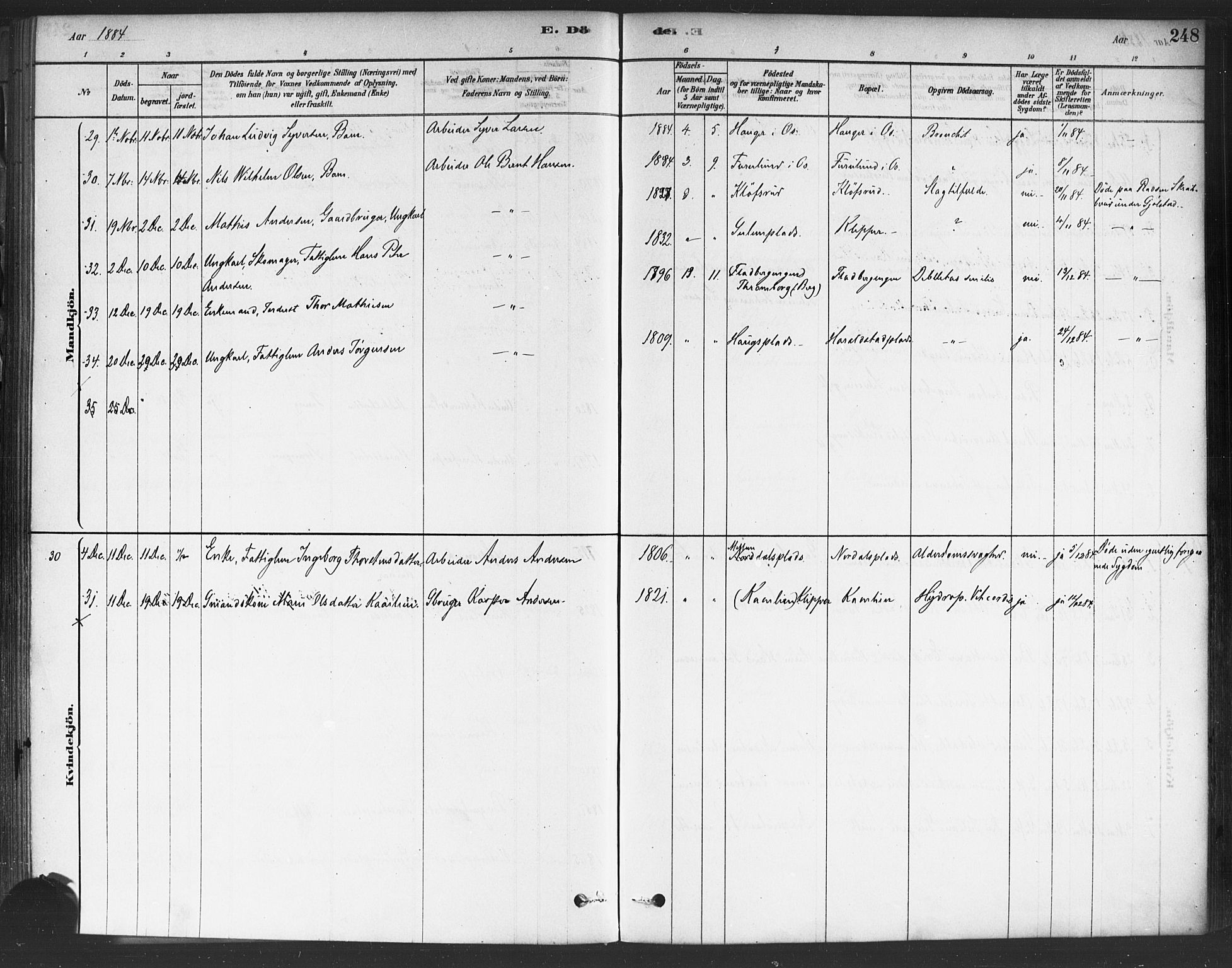 Rakkestad prestekontor Kirkebøker, AV/SAO-A-2008/F/Fa/L0012: Ministerialbok nr. I 12, 1878-1893, s. 248