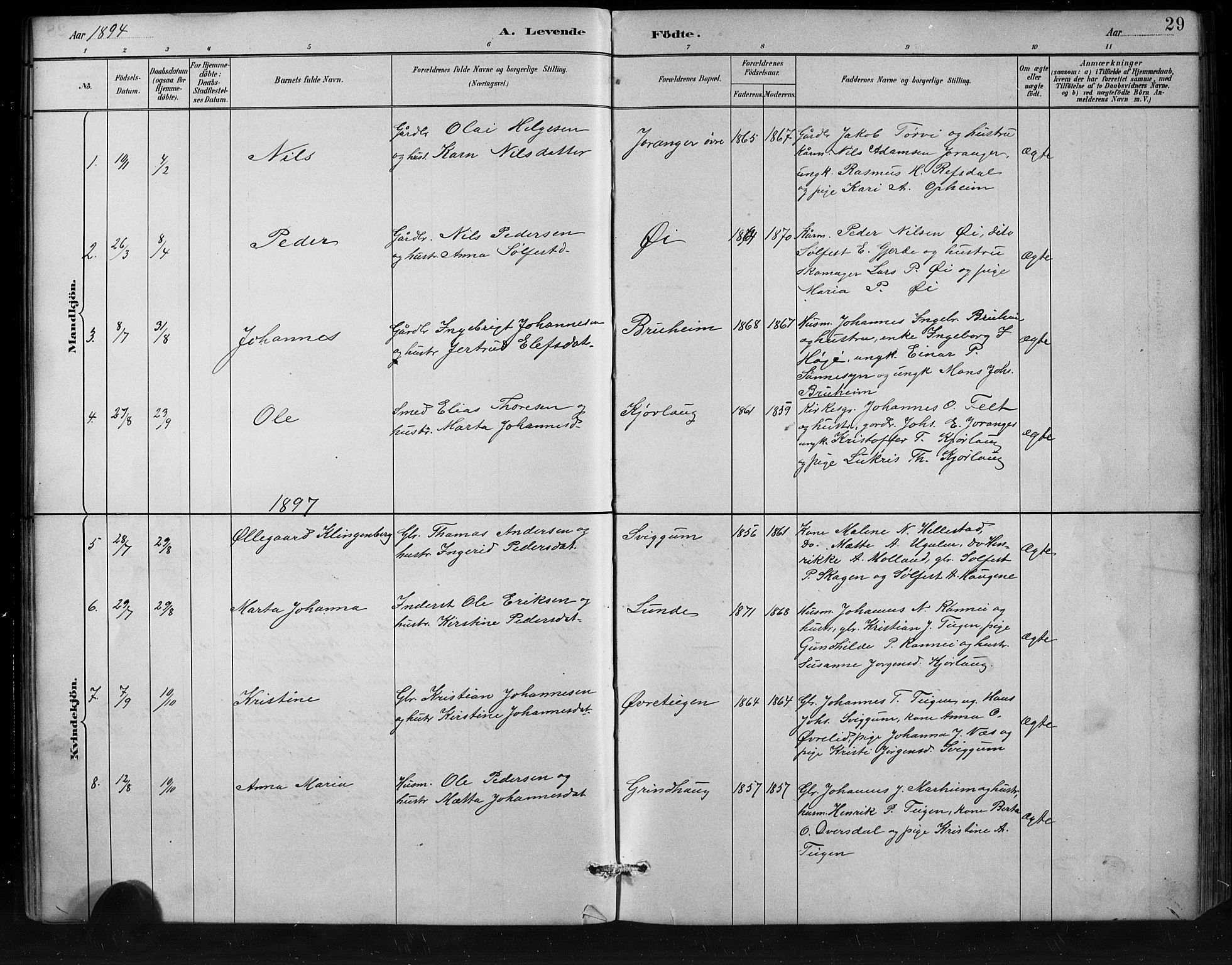 Jostedal sokneprestembete, AV/SAB-A-80601/H/Hab/Habd/L0001: Klokkerbok nr. D 1, 1882-1910, s. 29