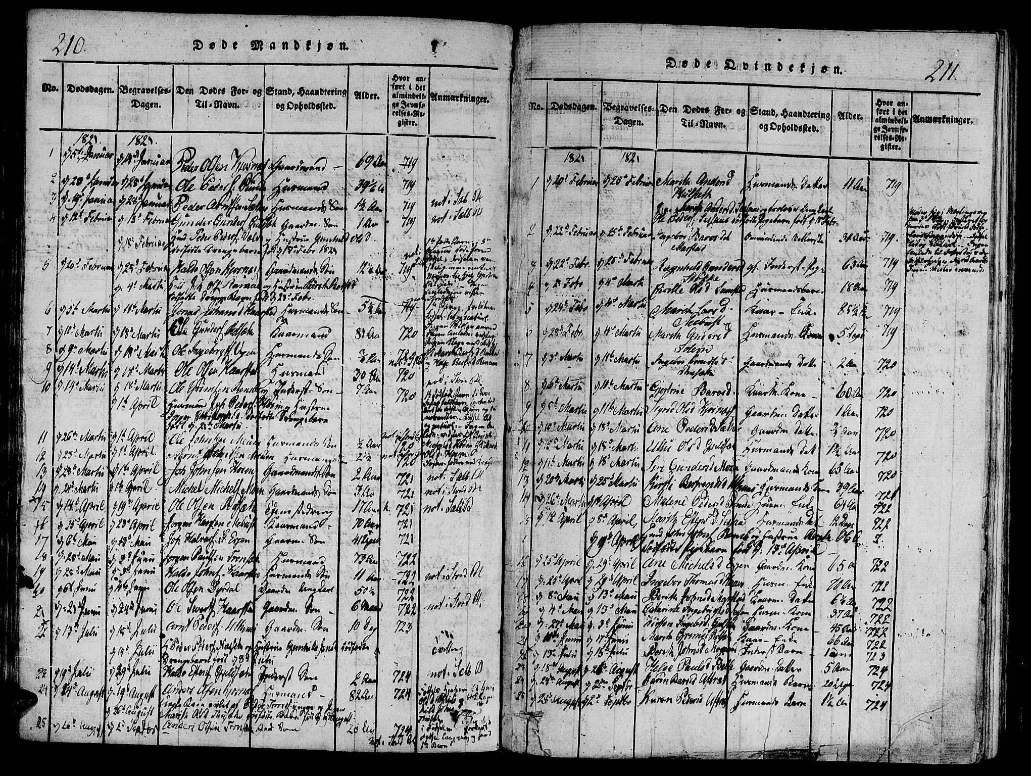 Ministerialprotokoller, klokkerbøker og fødselsregistre - Sør-Trøndelag, AV/SAT-A-1456/695/L1141: Ministerialbok nr. 695A04 /1, 1816-1824, s. 210-211