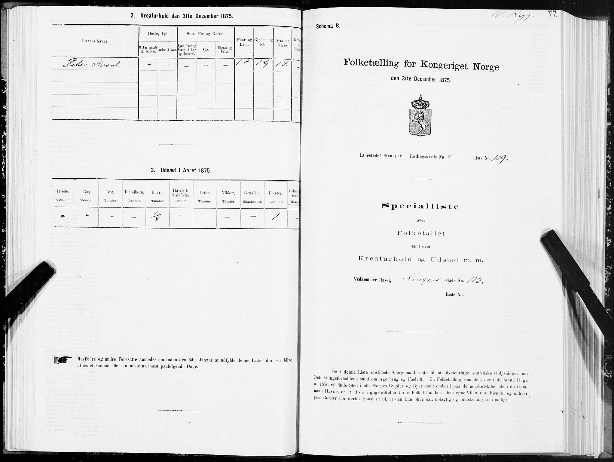 SAT, Folketelling 1875 for 1702B Steinkjer prestegjeld, Steinkjer ladested, 1875, s. 99