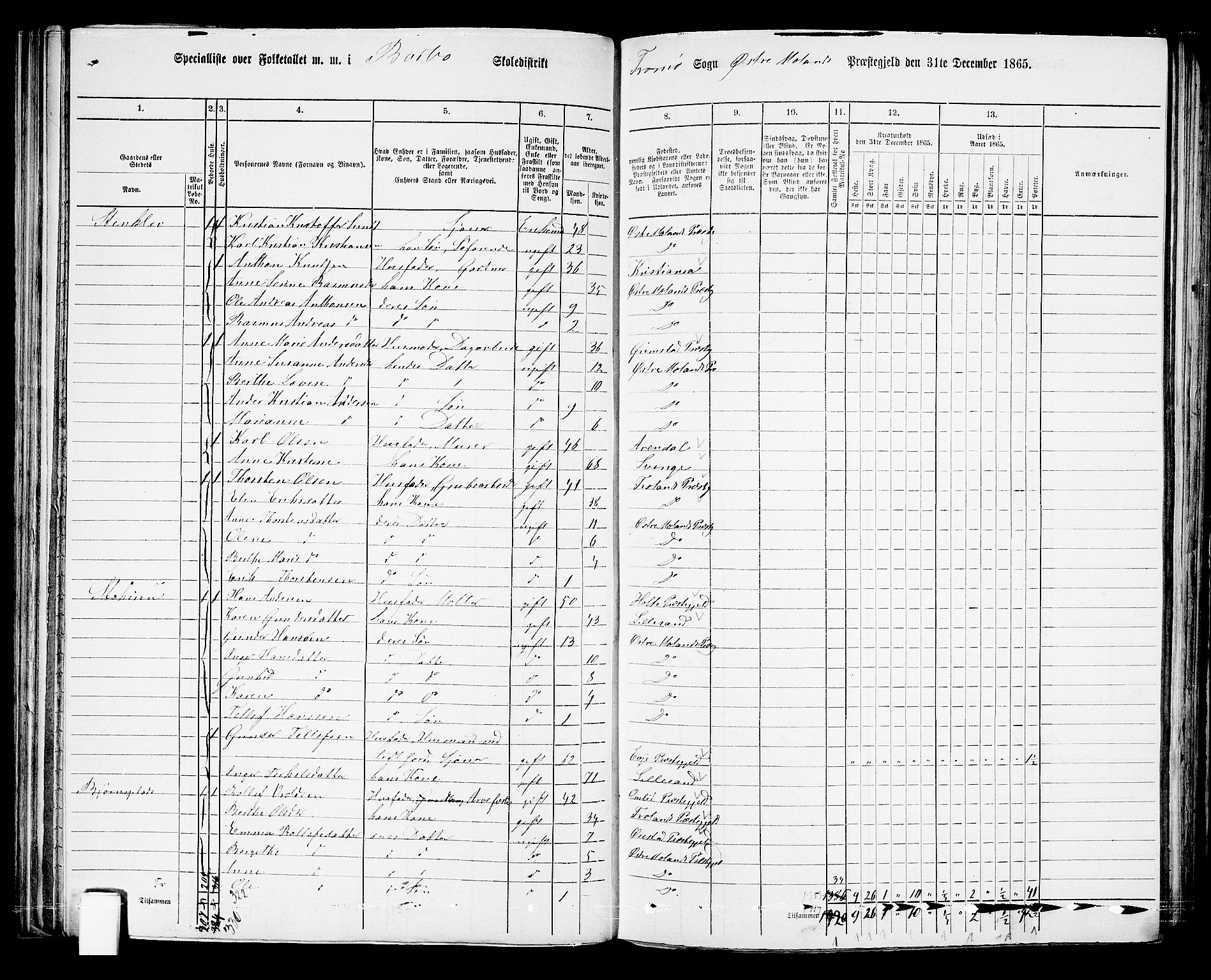 RA, Folketelling 1865 for 0918P Austre Moland prestegjeld, 1865, s. 110