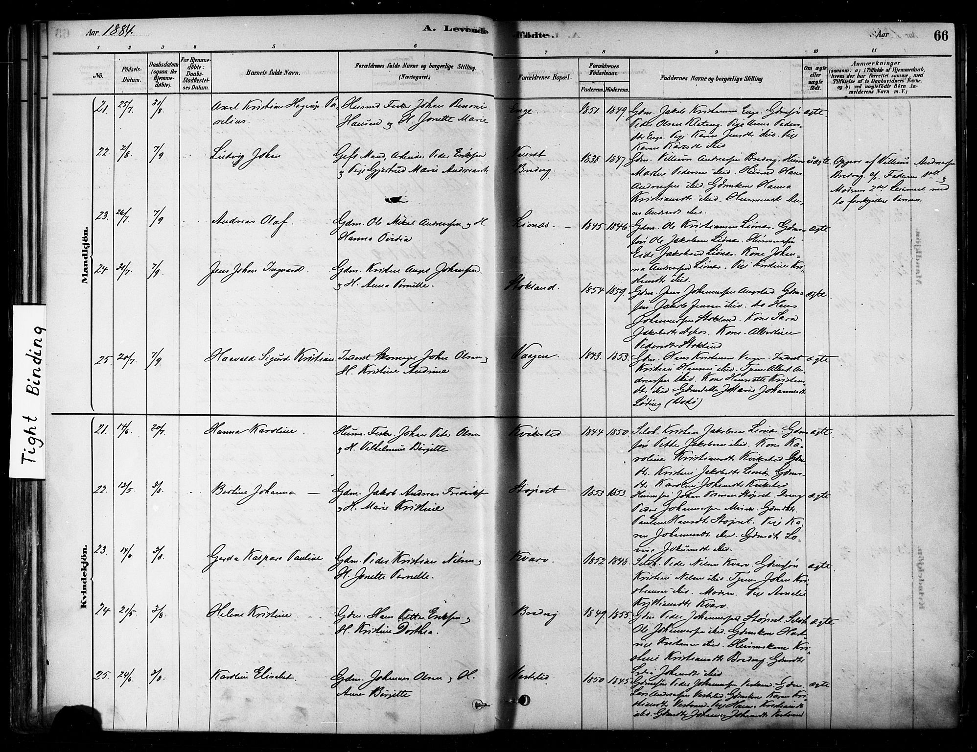 Ministerialprotokoller, klokkerbøker og fødselsregistre - Nordland, SAT/A-1459/852/L0740: Ministerialbok nr. 852A10, 1878-1894, s. 66