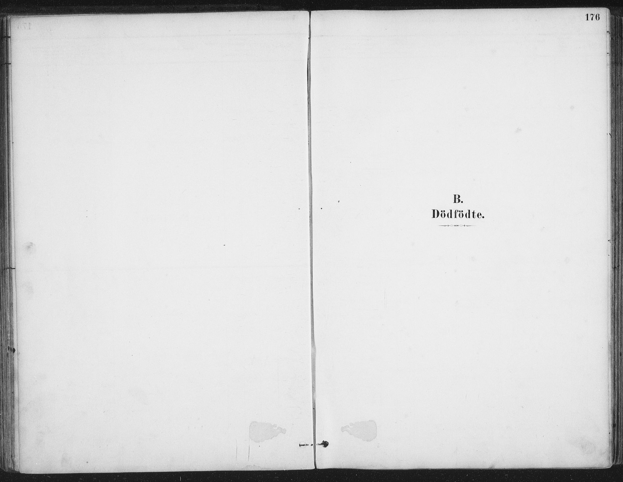 Ministerialprotokoller, klokkerbøker og fødselsregistre - Nordland, AV/SAT-A-1459/888/L1244: Ministerialbok nr. 888A10, 1880-1890, s. 176