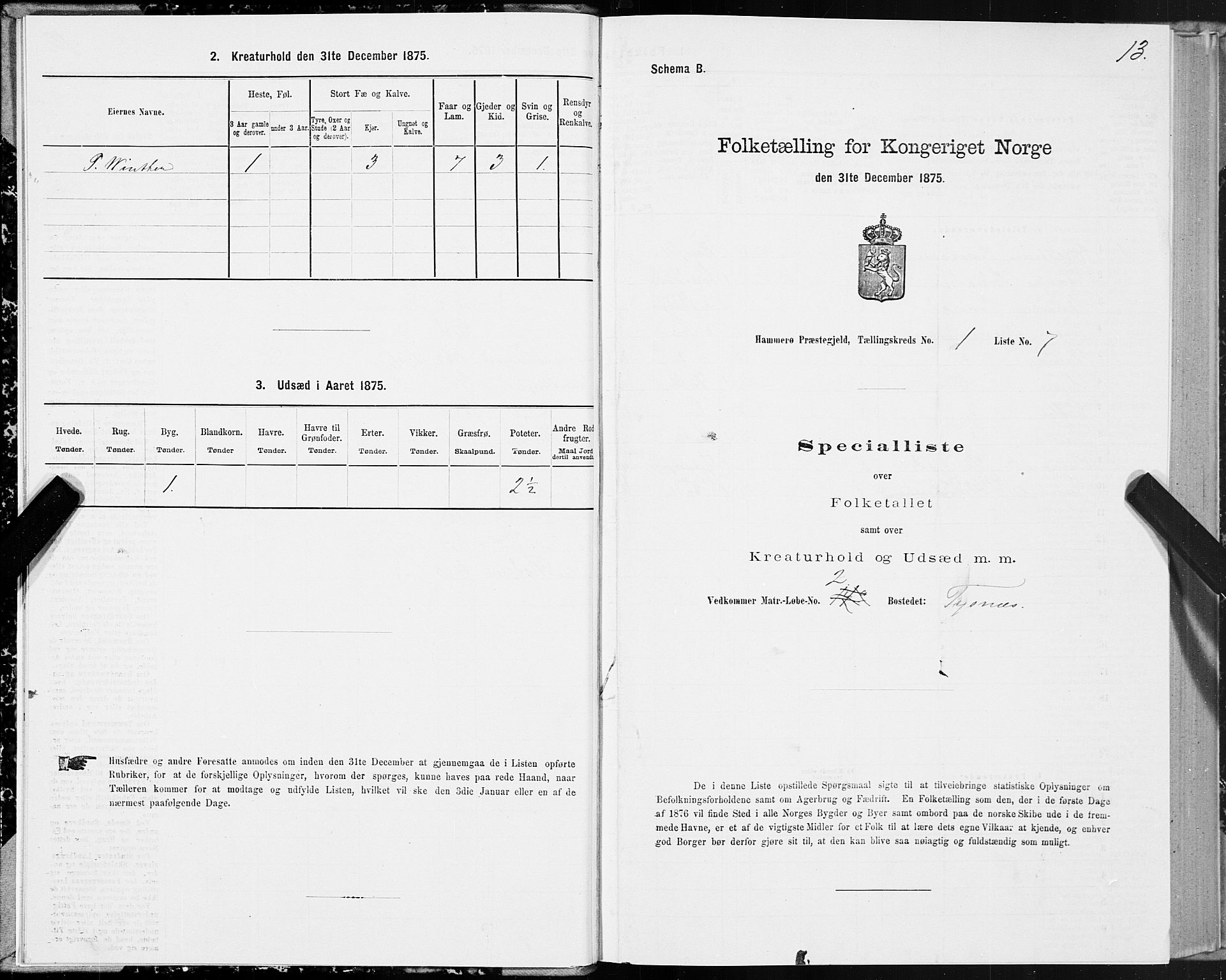 SAT, Folketelling 1875 for 1849P Hamarøy prestegjeld, 1875, s. 1013