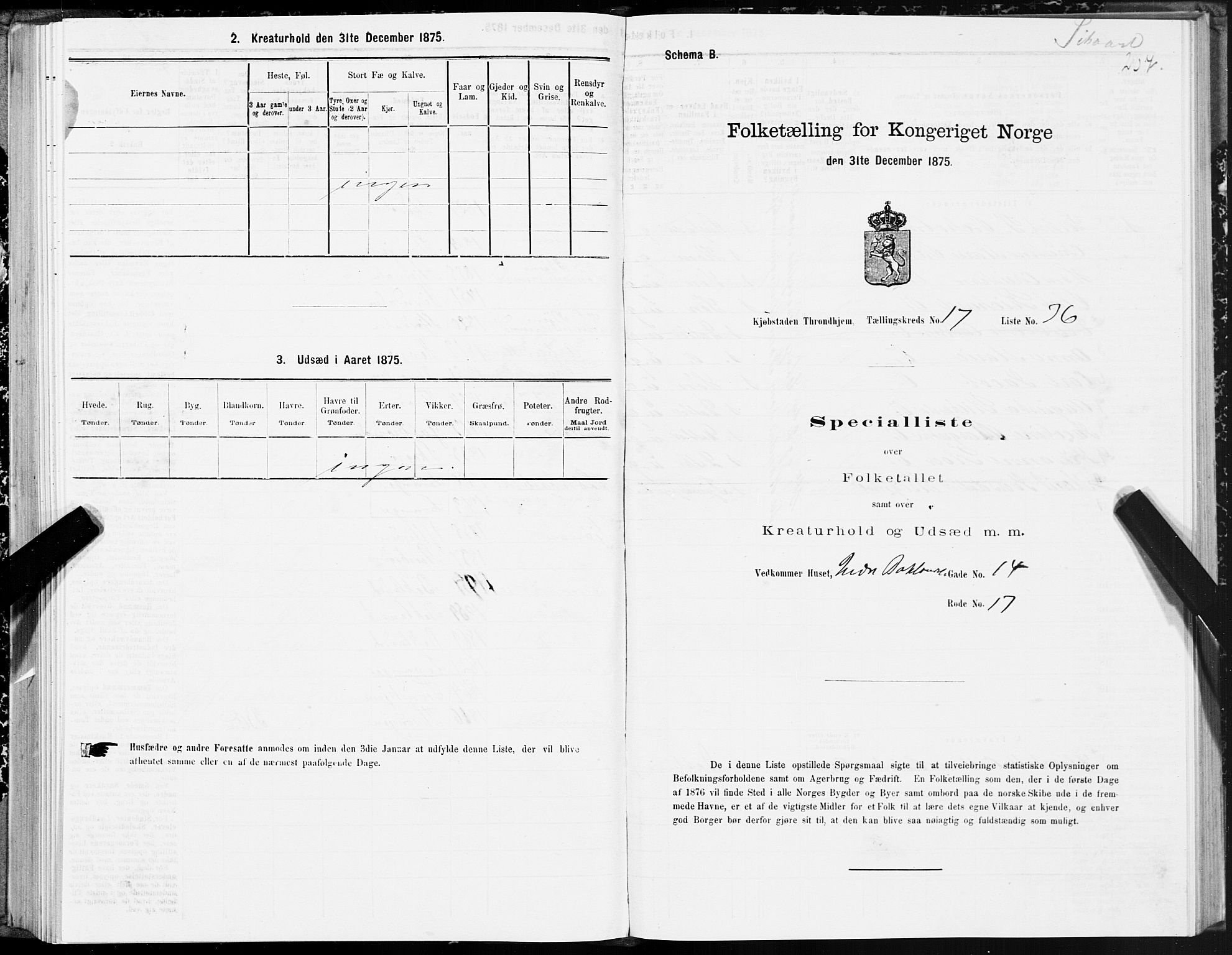 SAT, Folketelling 1875 for 1601 Trondheim kjøpstad, 1875, s. 9207