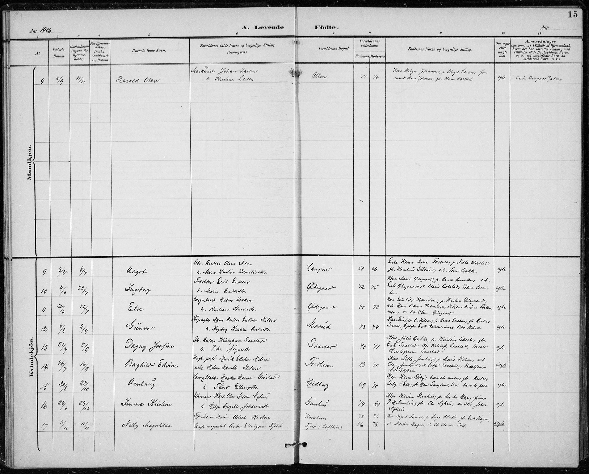 Modum kirkebøker, AV/SAKO-A-234/F/Fa/L0020: Ministerialbok nr. 20, 1900-1917, s. 15