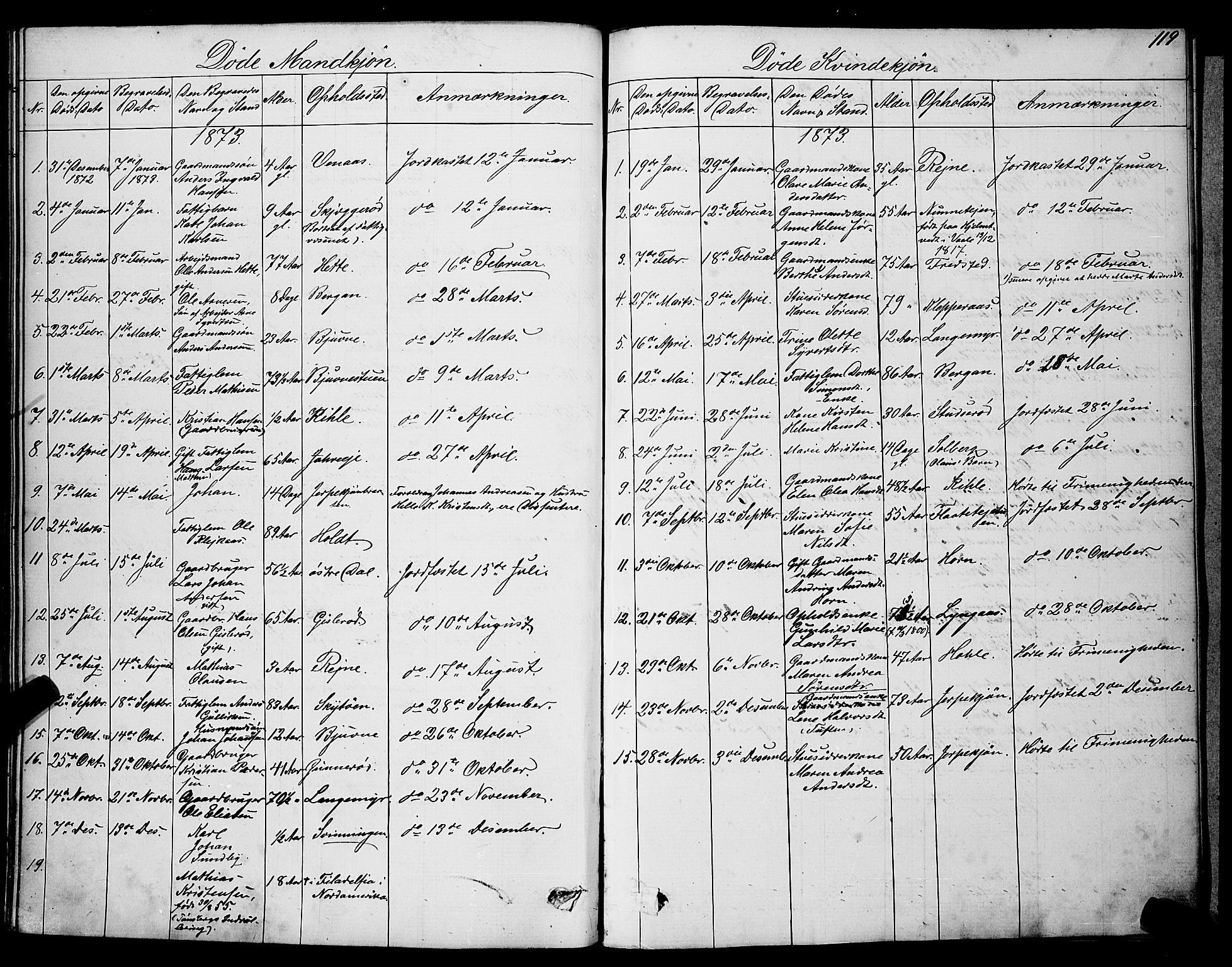 Ramnes kirkebøker, AV/SAKO-A-314/G/Ga/L0003: Klokkerbok nr. I 3, 1870-1896, s. 119