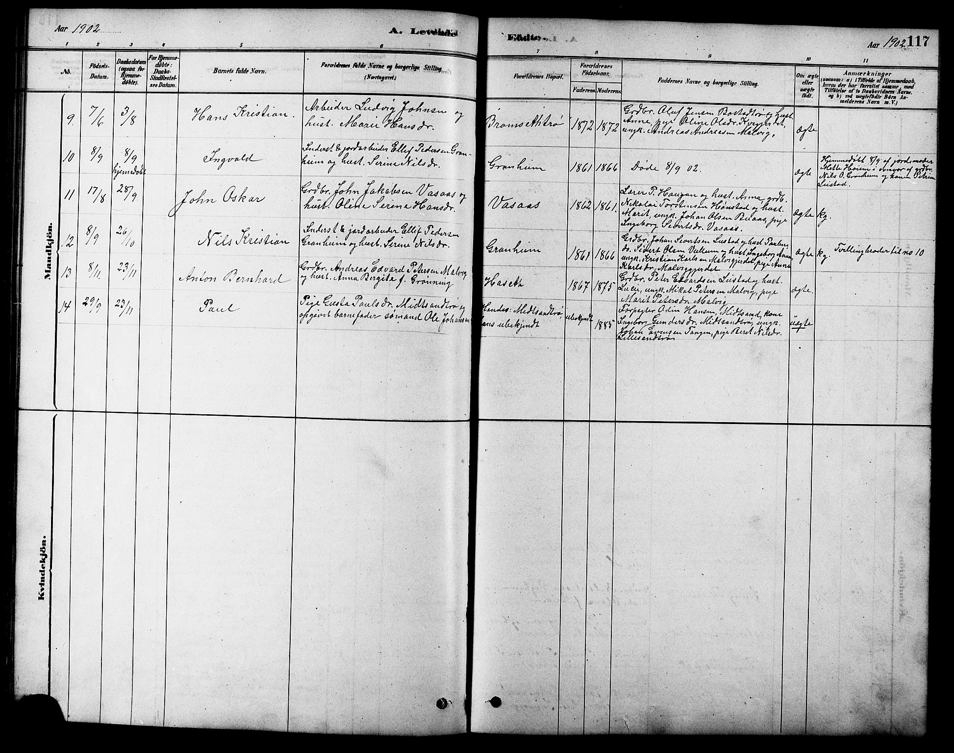 Ministerialprotokoller, klokkerbøker og fødselsregistre - Sør-Trøndelag, SAT/A-1456/616/L0423: Klokkerbok nr. 616C06, 1878-1903, s. 117
