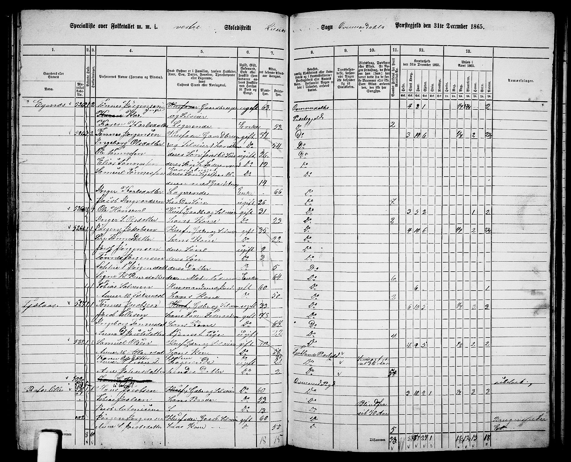 RA, Folketelling 1865 for 1037P Kvinesdal prestegjeld, 1865, s. 141