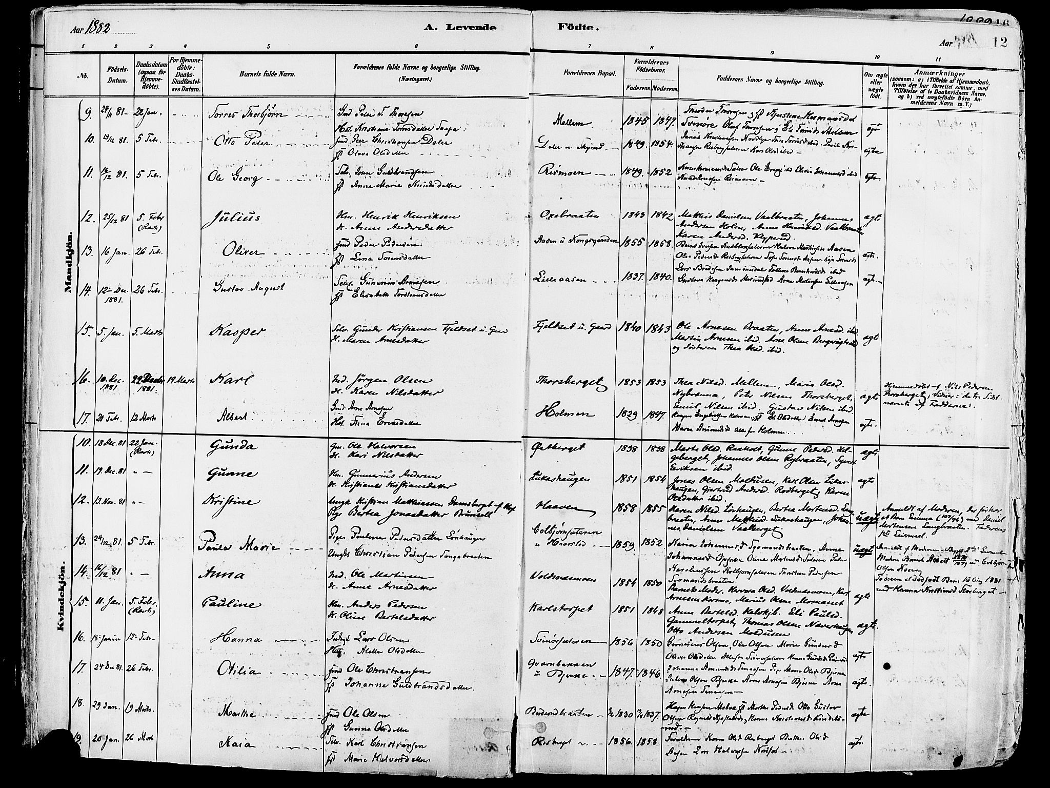 Grue prestekontor, SAH/PREST-036/H/Ha/Haa/L0012: Ministerialbok nr. 12, 1881-1897, s. 12