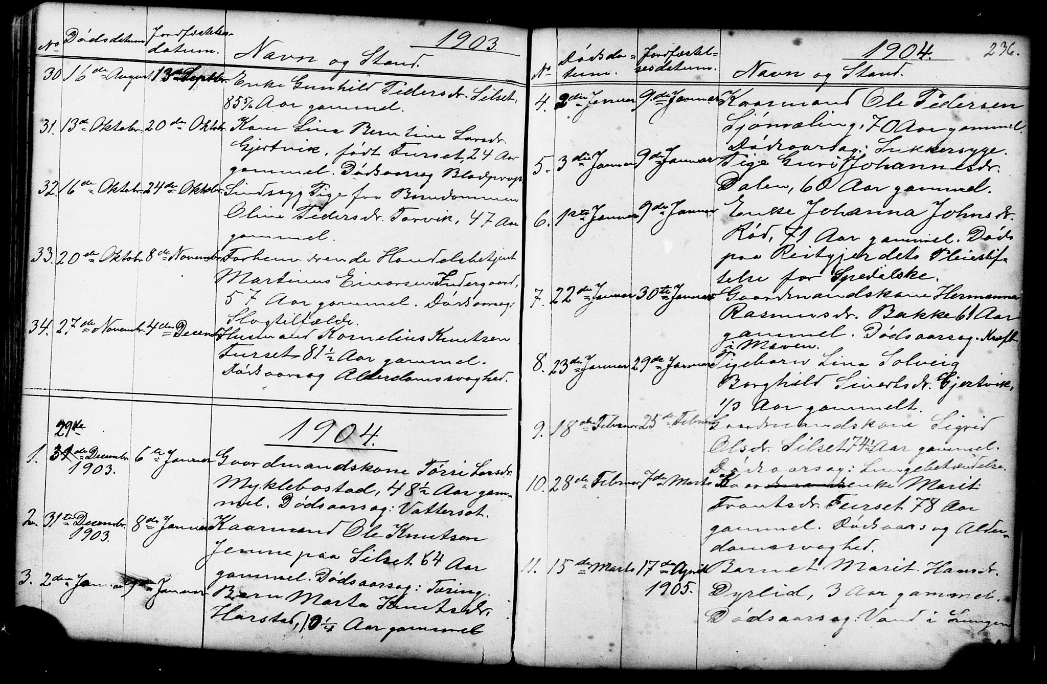 Ministerialprotokoller, klokkerbøker og fødselsregistre - Møre og Romsdal, SAT/A-1454/584/L0969: Klokkerbok nr. 584C02, 1877-1911, s. 236