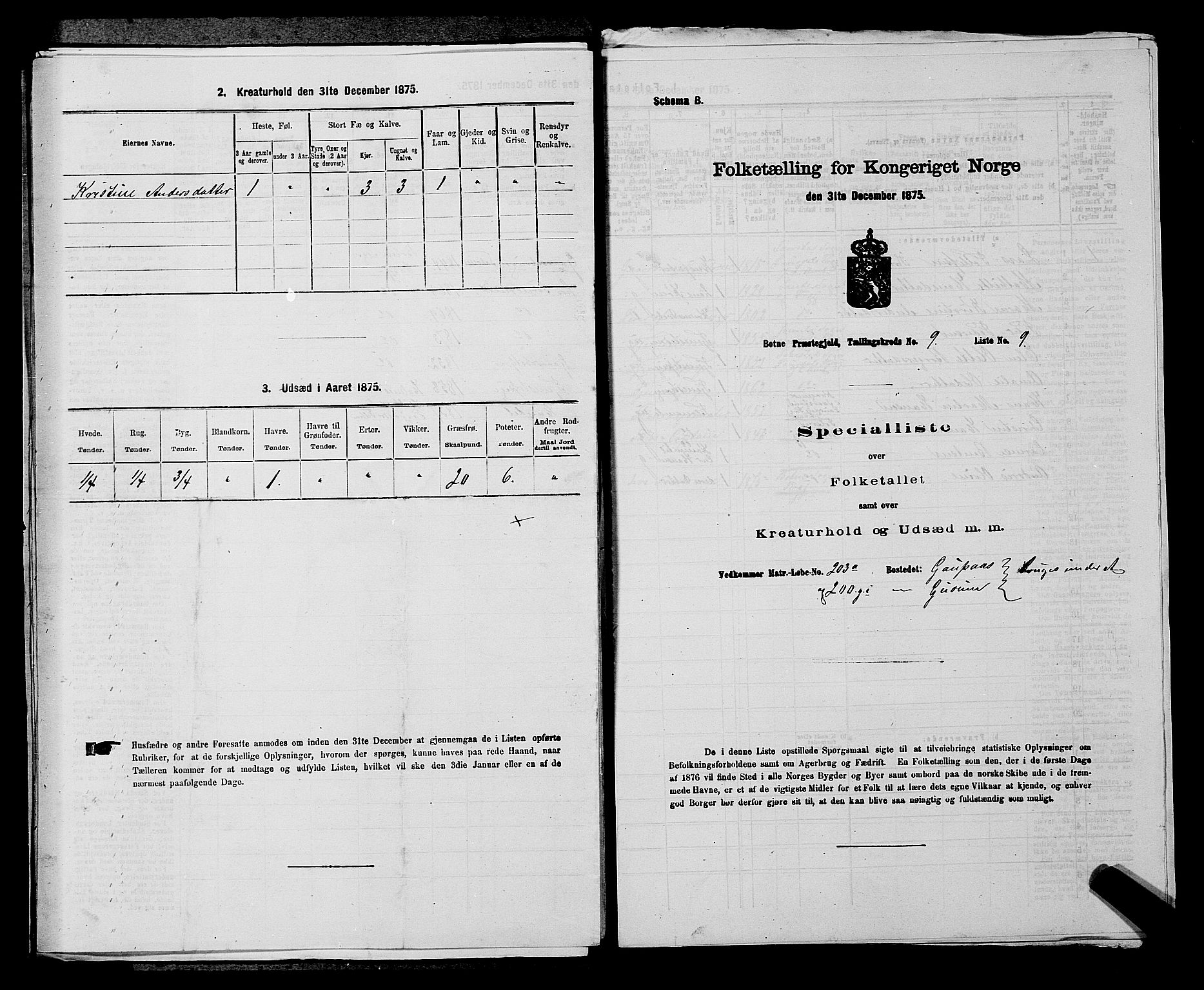 SAKO, Folketelling 1875 for 0715P Botne prestegjeld, 1875, s. 736