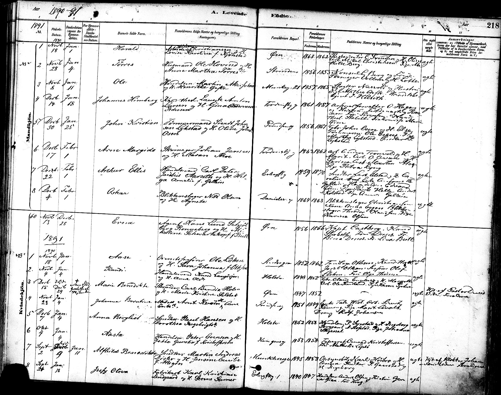 Ministerialprotokoller, klokkerbøker og fødselsregistre - Sør-Trøndelag, SAT/A-1456/601/L0057: Ministerialbok nr. 601A25, 1877-1891, s. 218